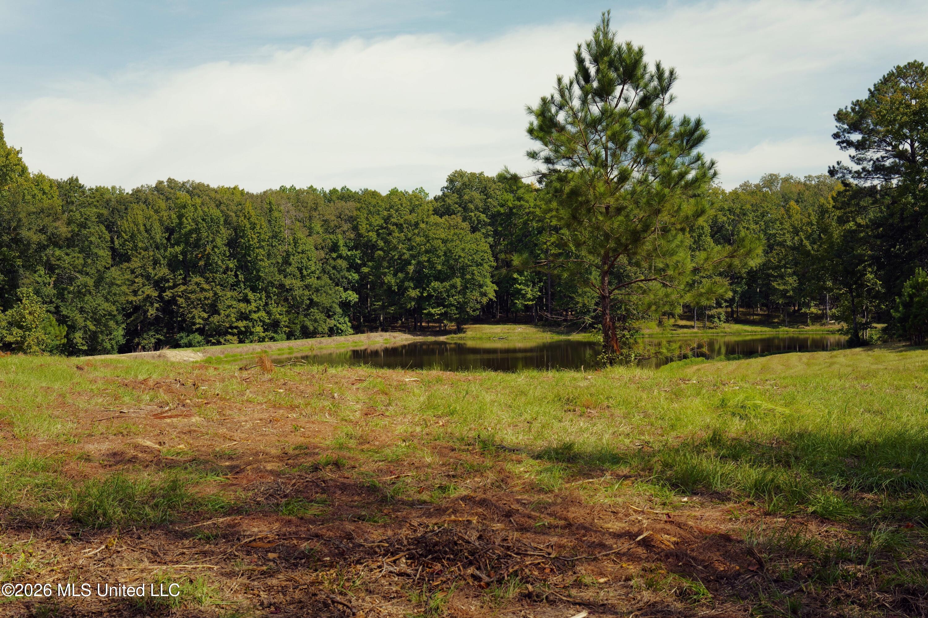 00 Ratliff Rd Road Property Photo 4