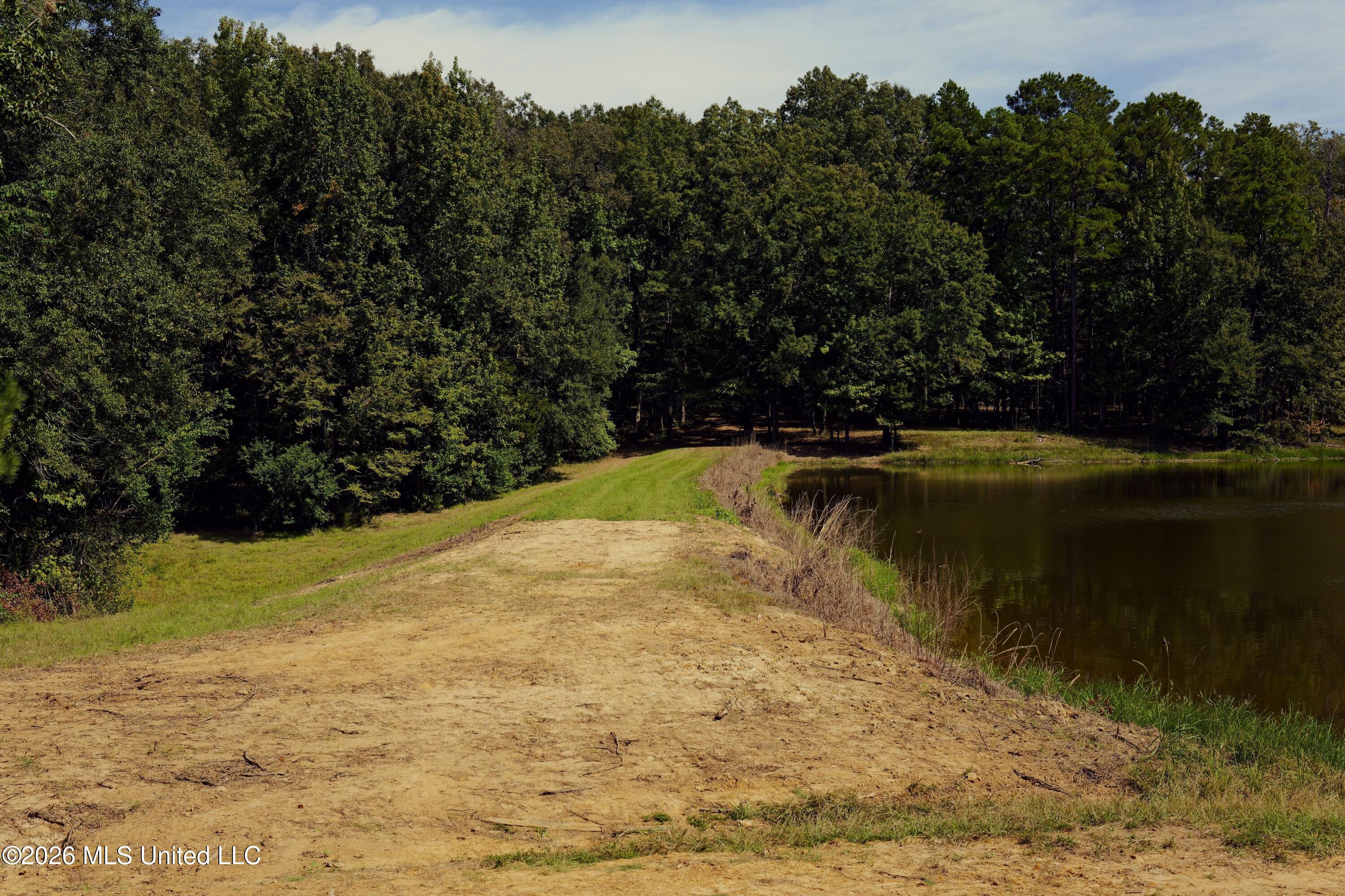 00 Ratliff Rd Road Property Photo 5