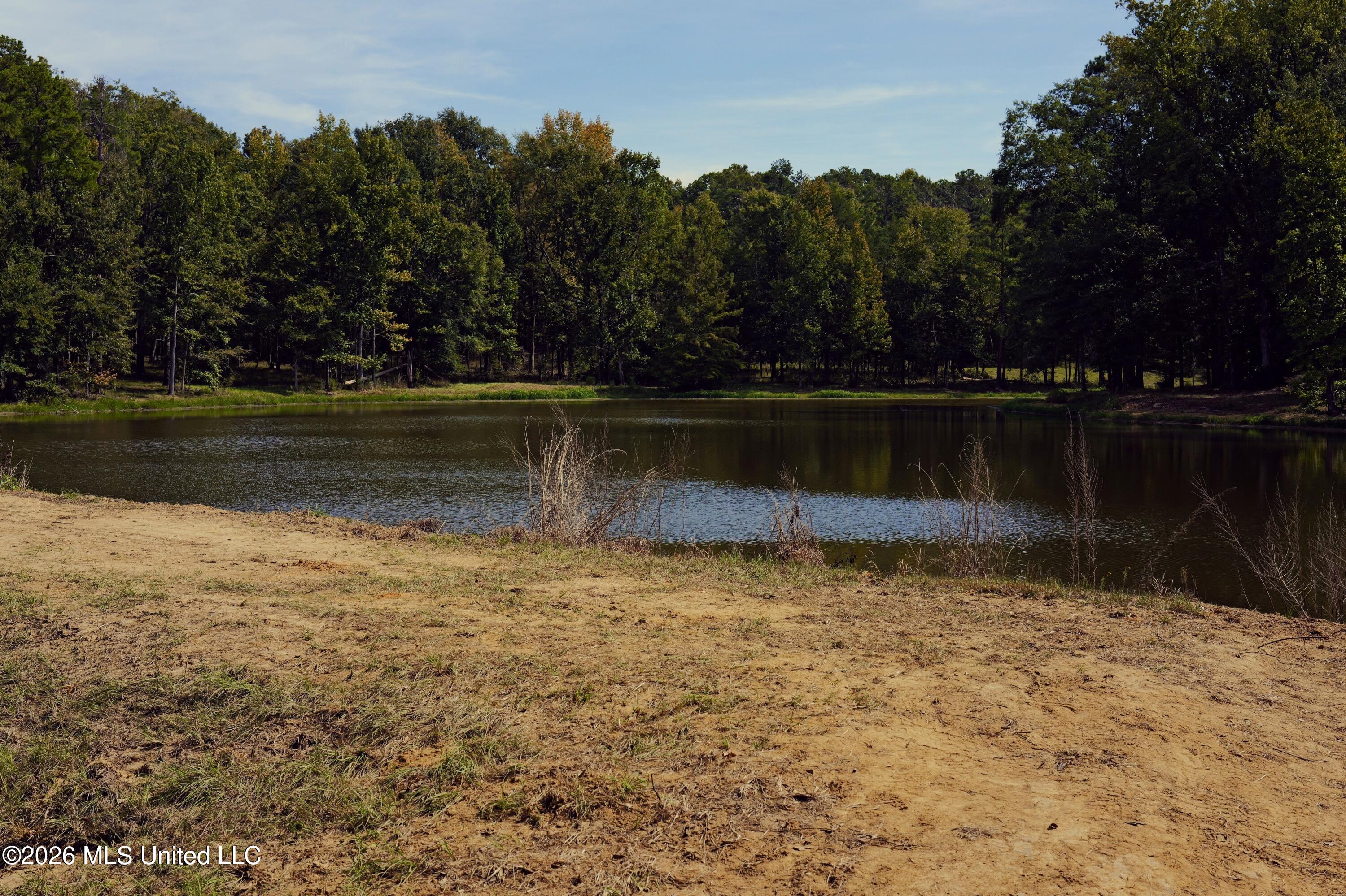 00 Ratliff Rd Road Property Photo 6