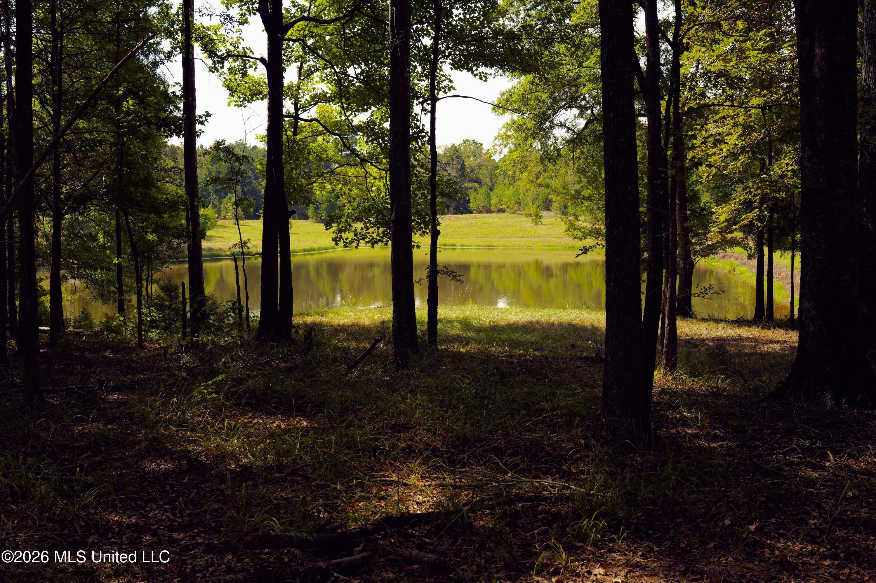 00 Ratliff Rd Road Property Photo 9