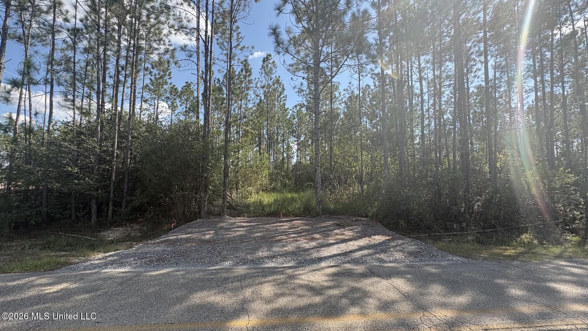 Herman Ladner Road Property Photo 1