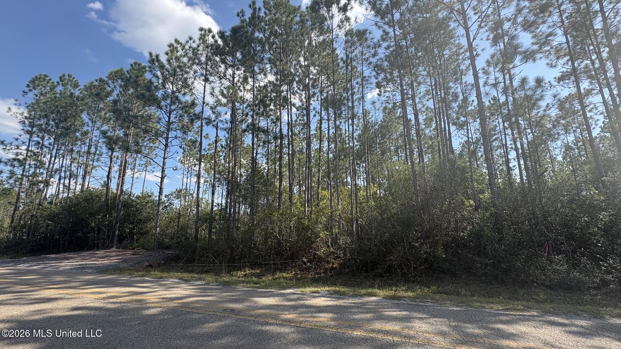 Herman Ladner Road Property Photo 2