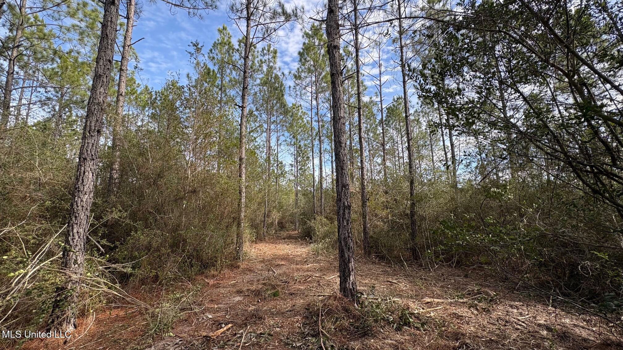 Herman Ladner Road Property Photo 3