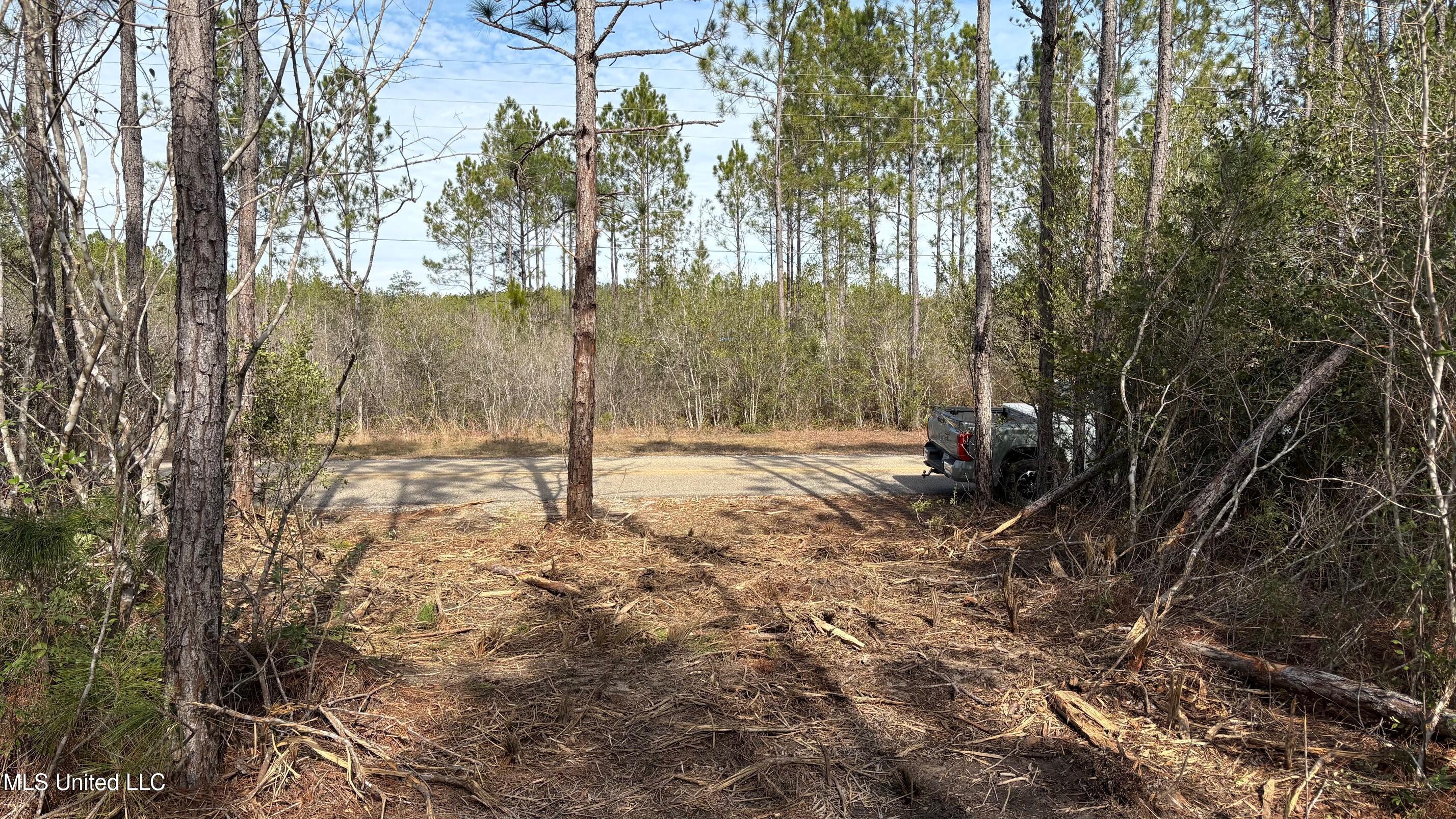 Herman Ladner Road Property Photo 5