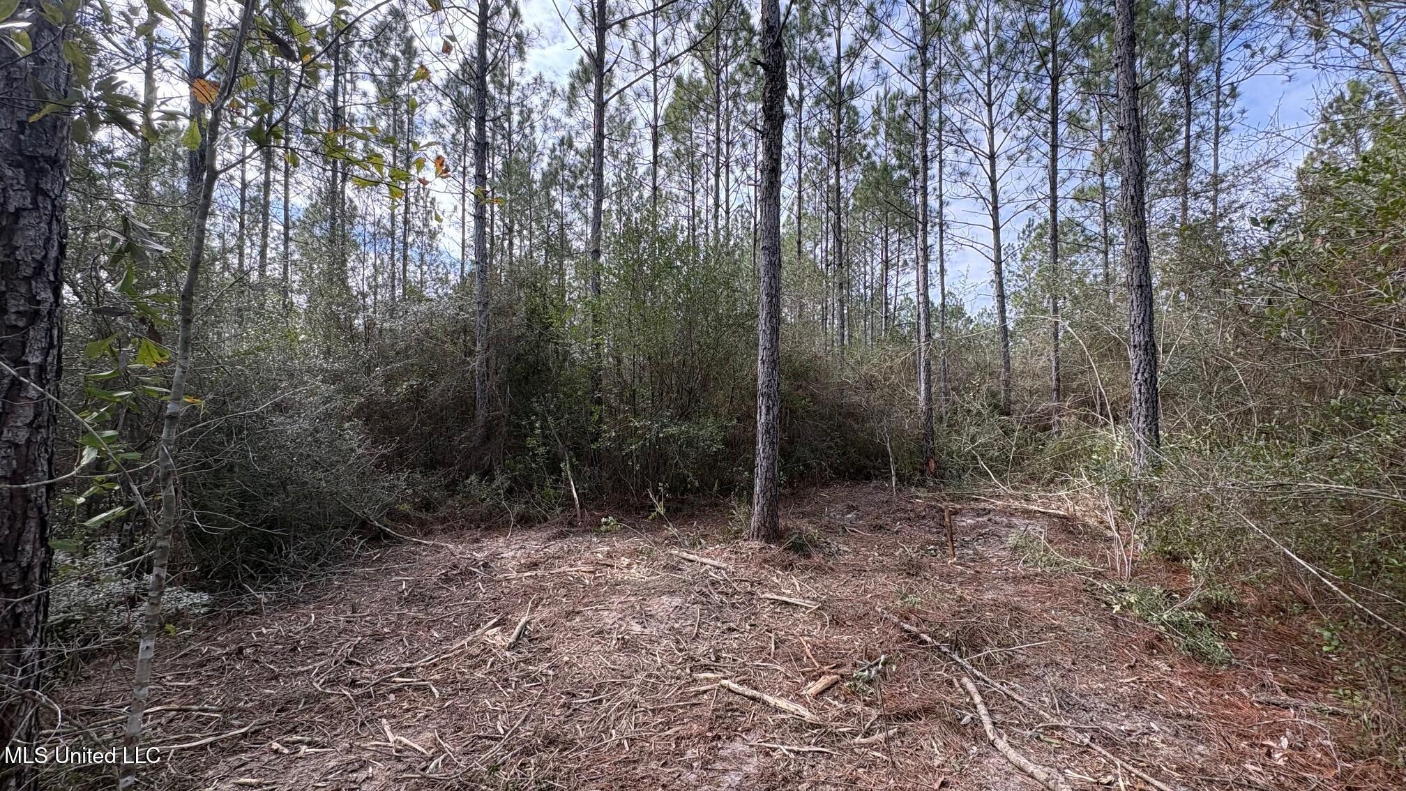 Herman Ladner Road Property Photo 6