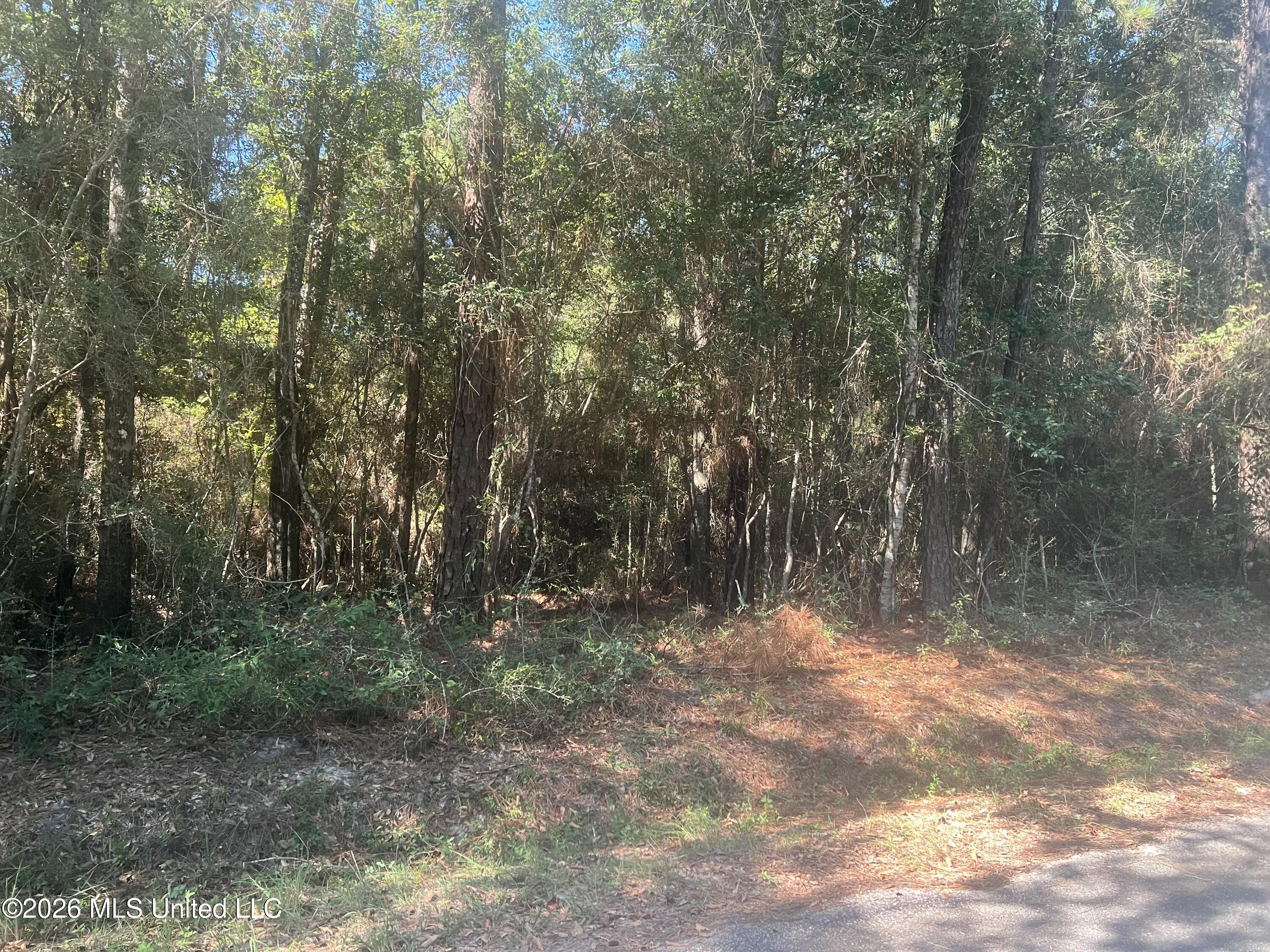Darling Road Property Photo 2