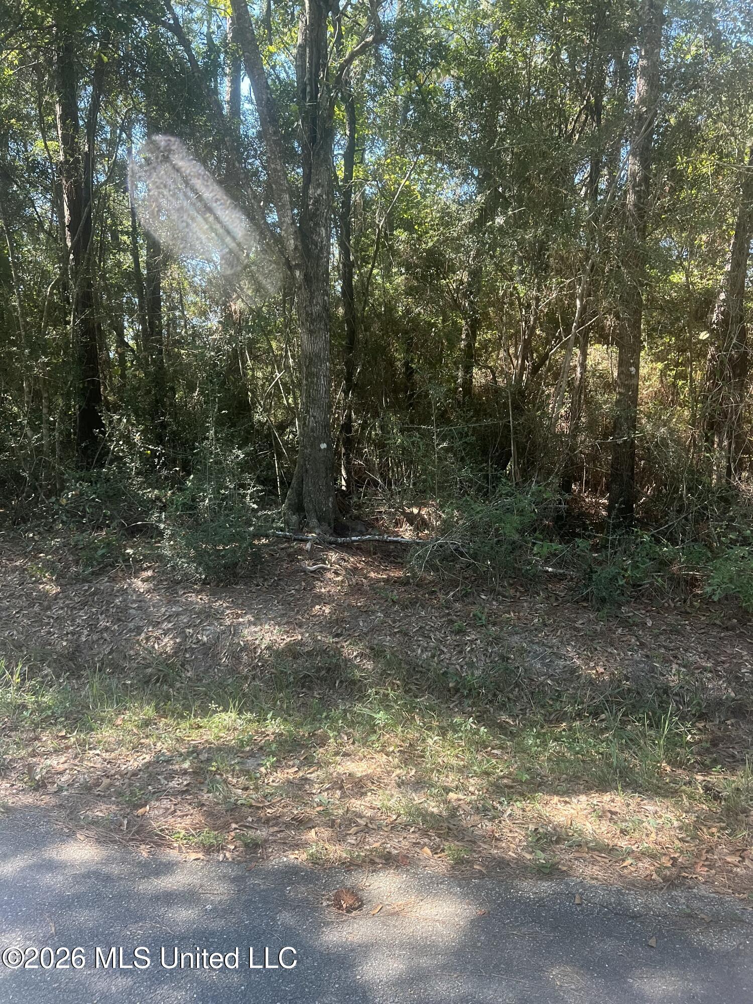 Darling Road Property Photo 3