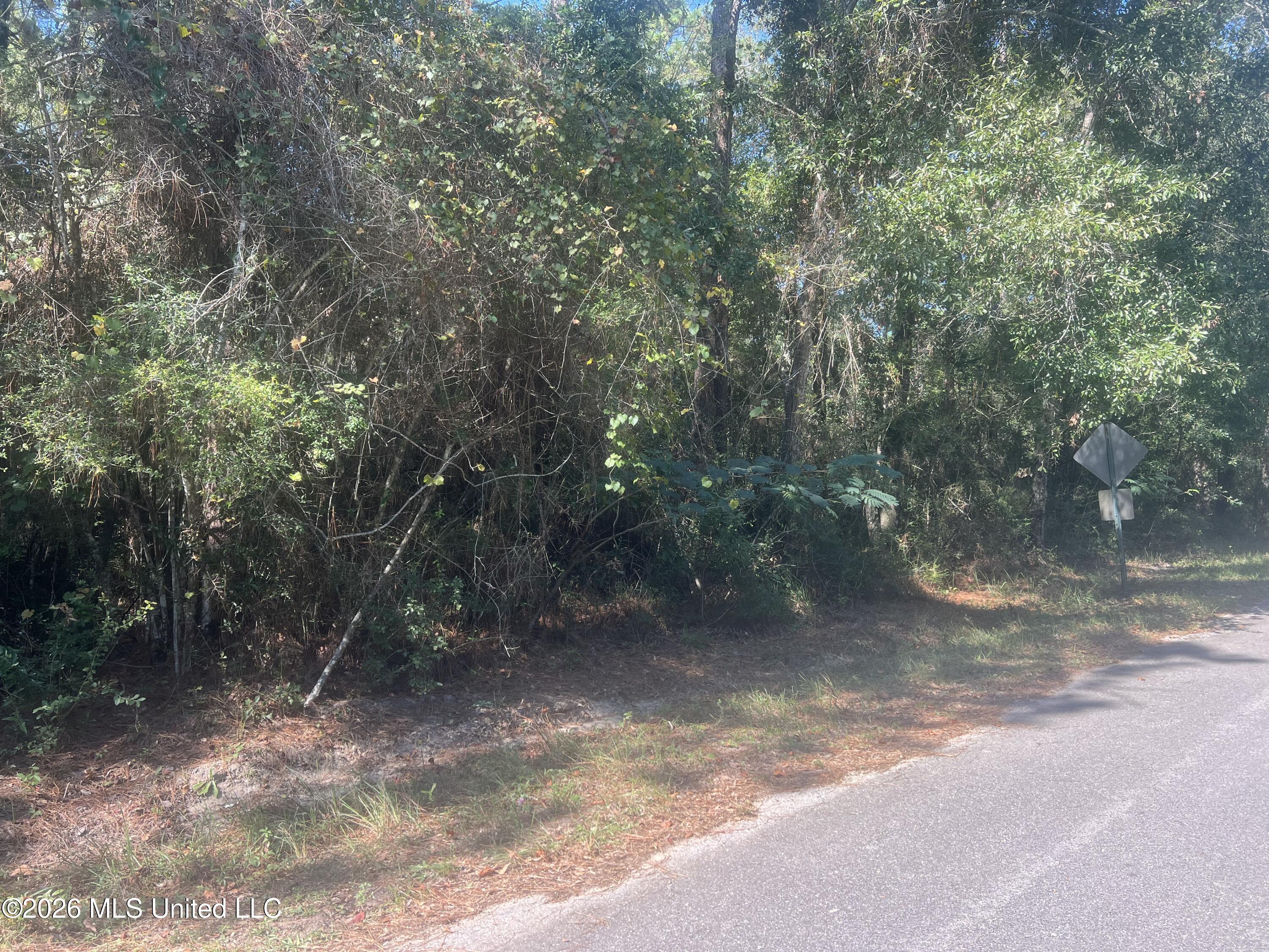 Darling Road Property Photo 4