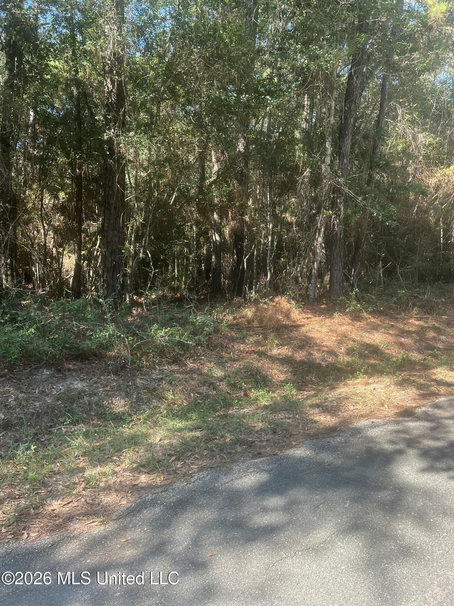 Darling Road Property Photo 8