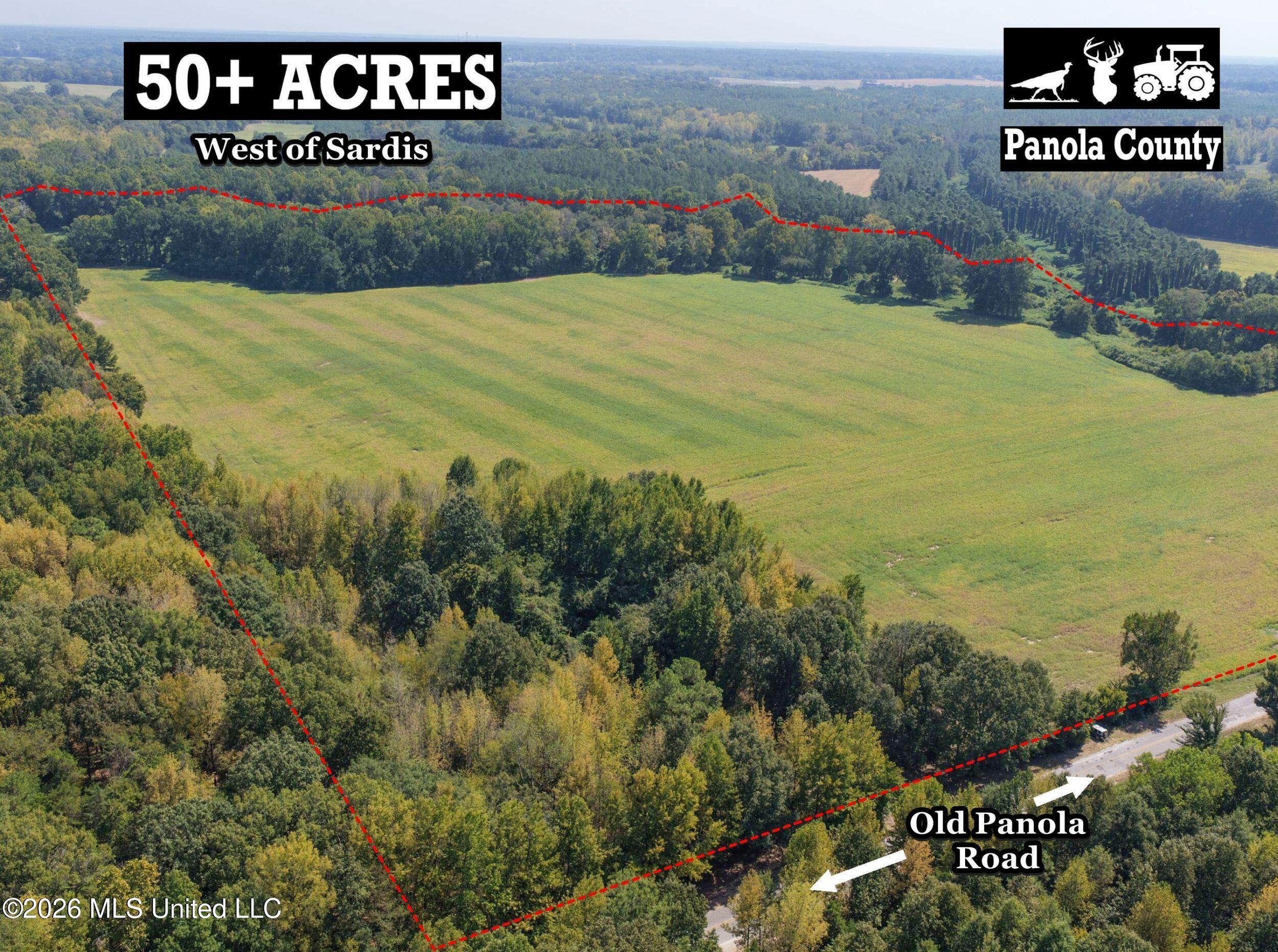 50 Ac Old Panola Road Property Photo 2