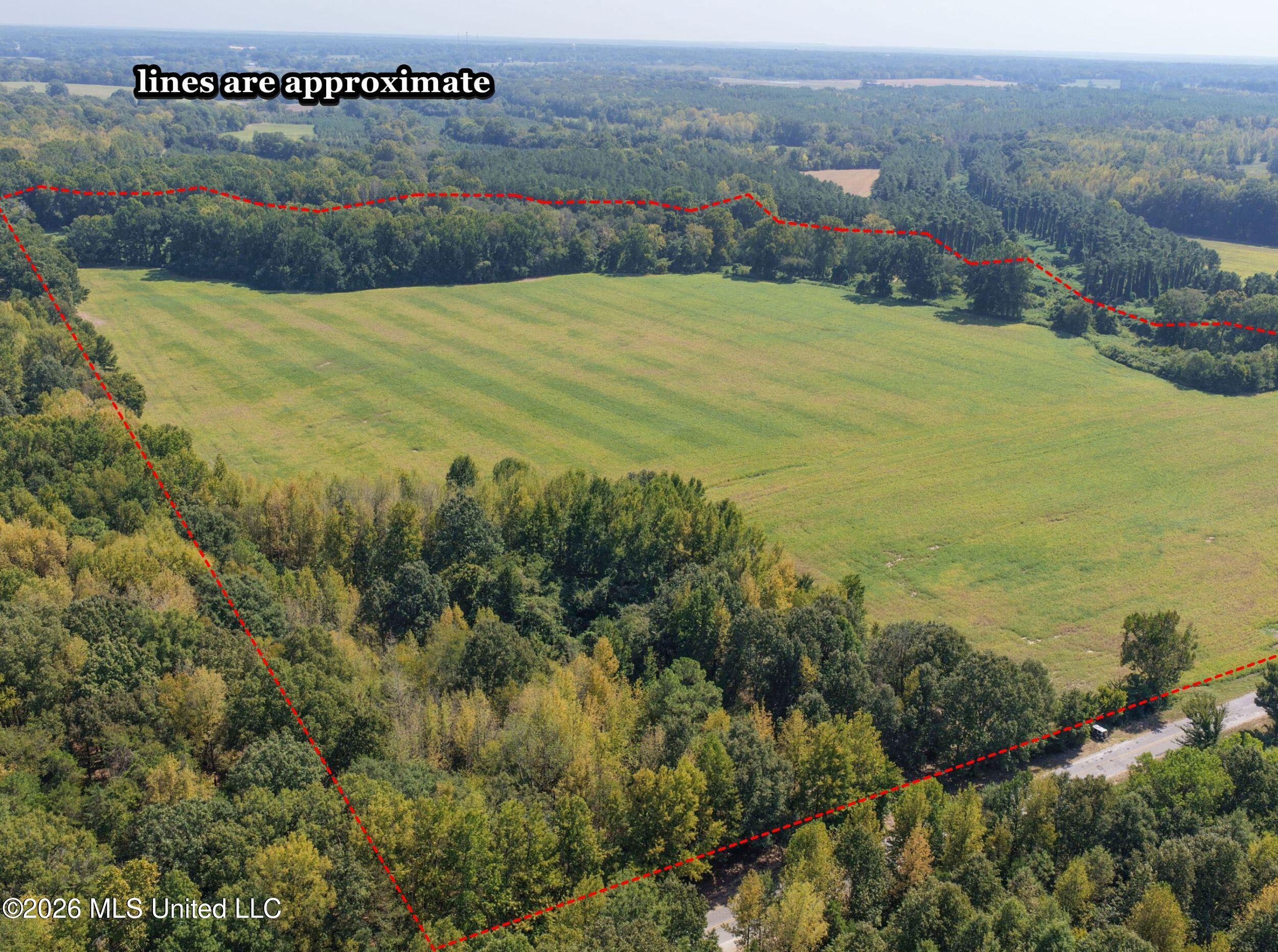 50 Ac Old Panola Road Property Photo 8