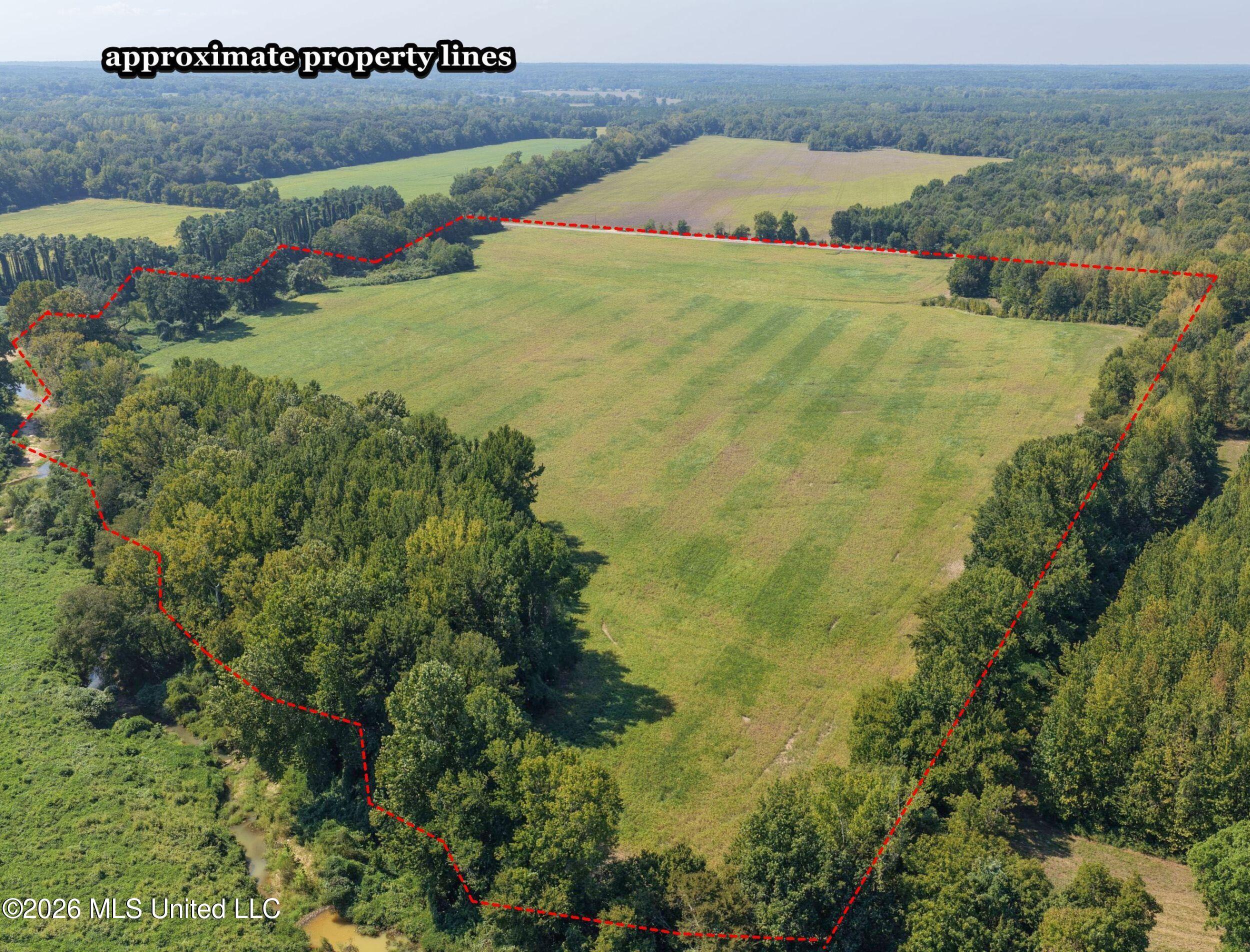 50 Ac Old Panola Road Property Photo 13