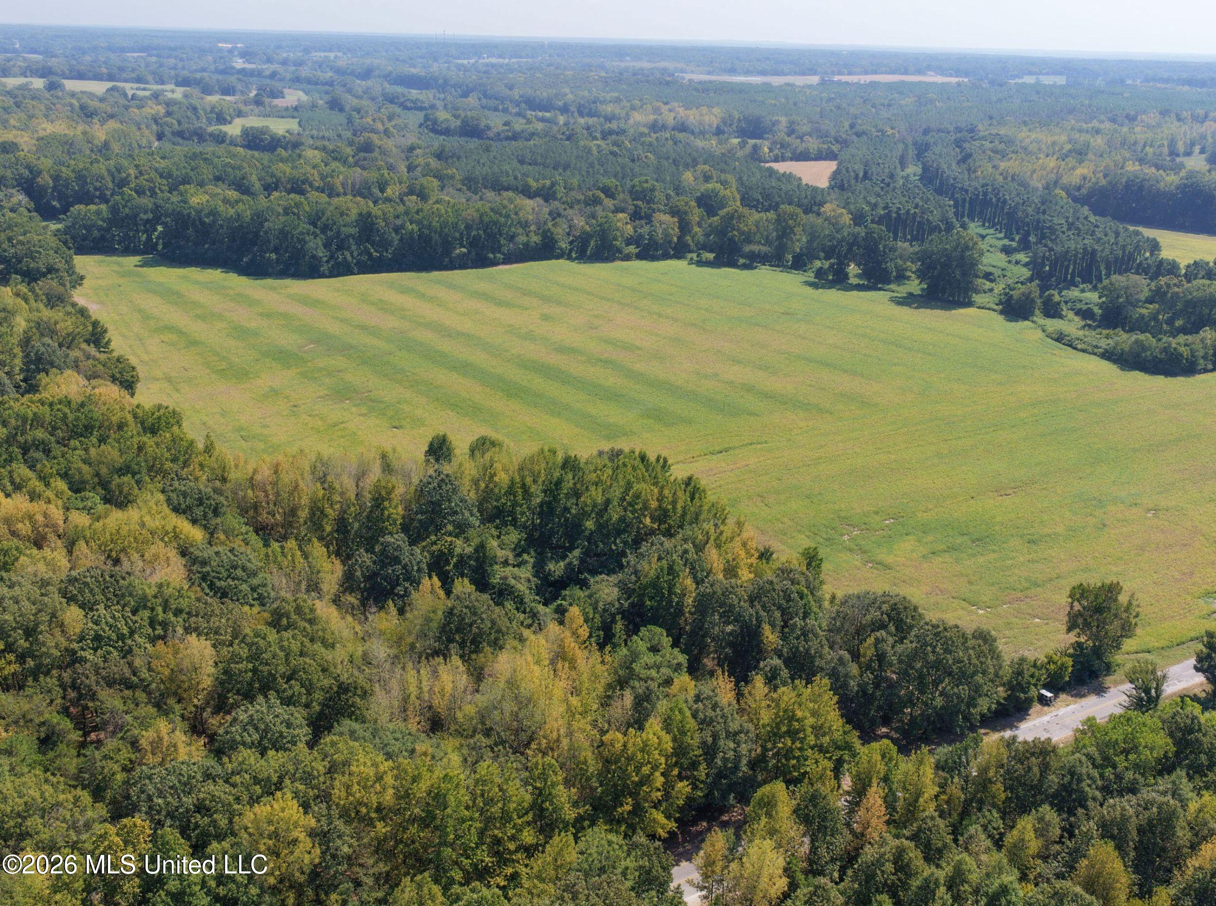 50 Ac Old Panola Road Property Photo 14