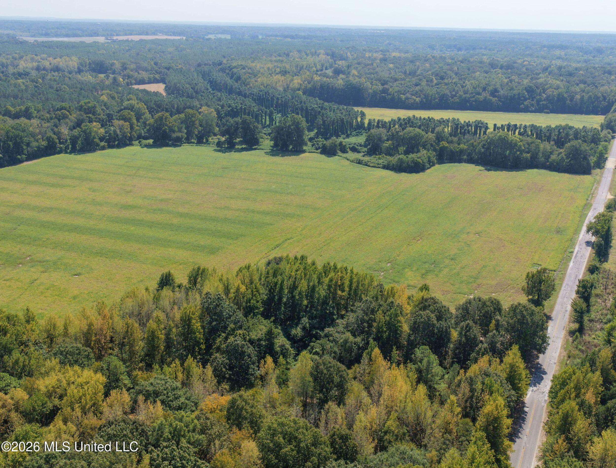 50 Ac Old Panola Road Property Photo 15