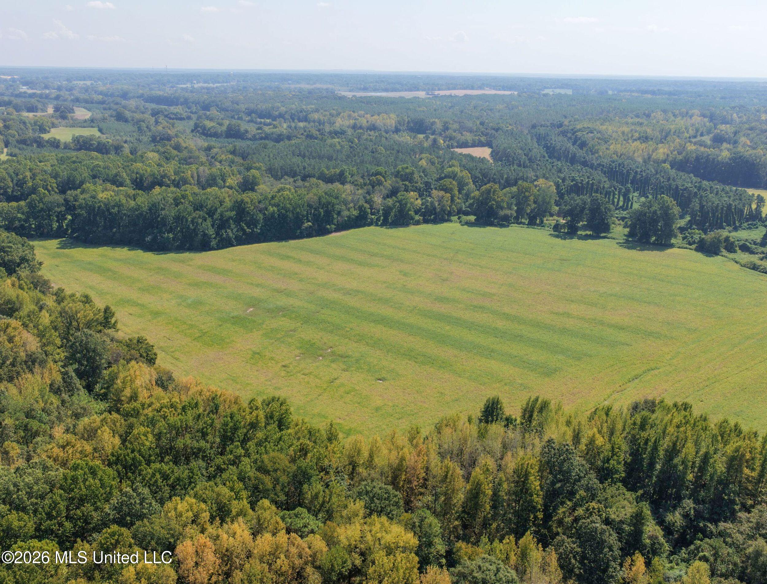 50 Ac Old Panola Road Property Photo 16