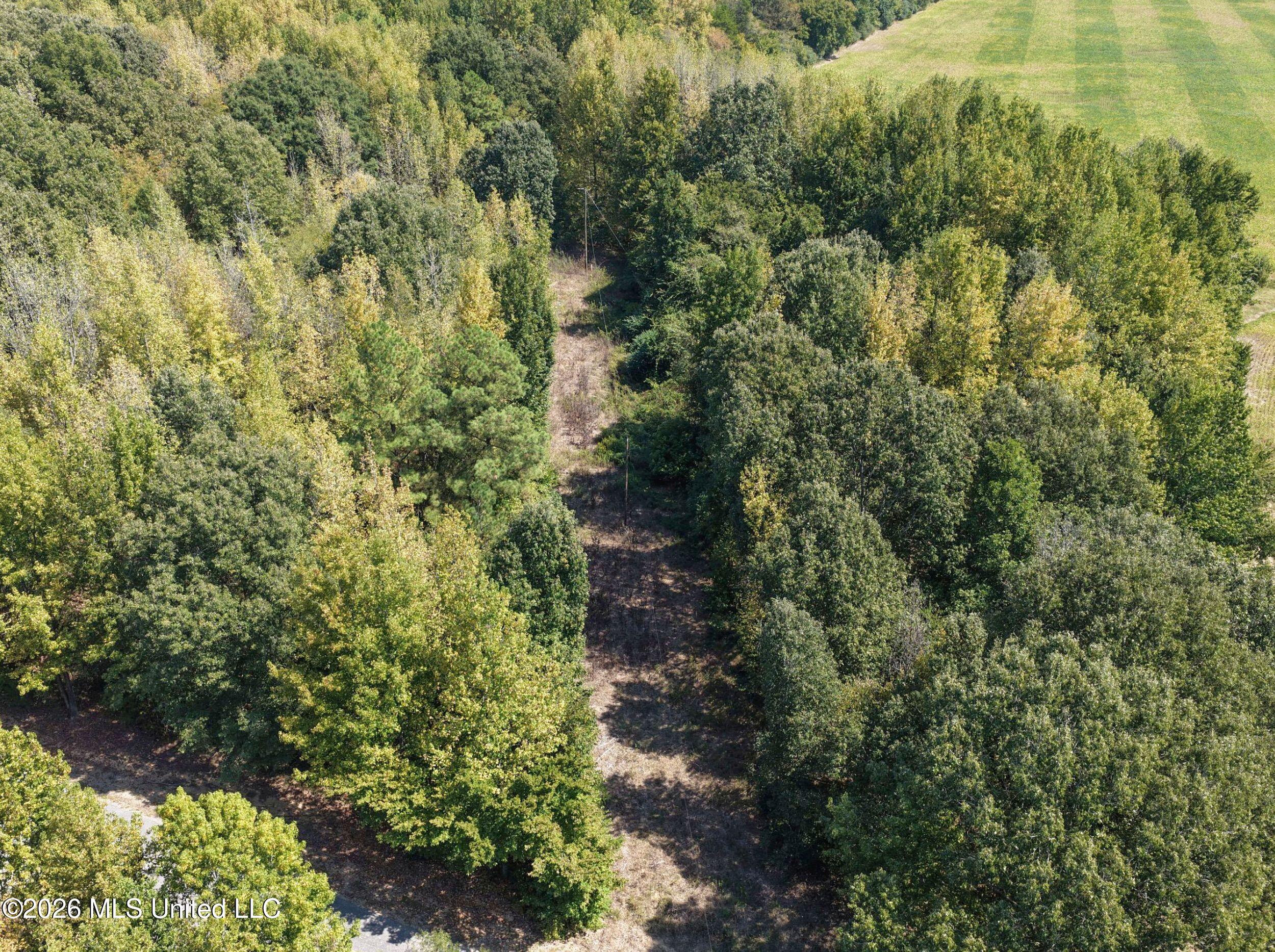 50 Ac Old Panola Road Property Photo 19