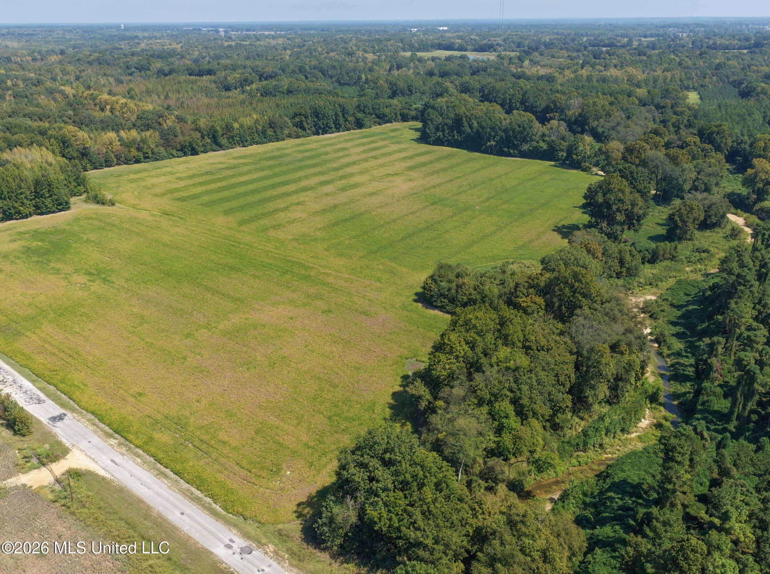 50 Ac Old Panola Road Property Photo 20