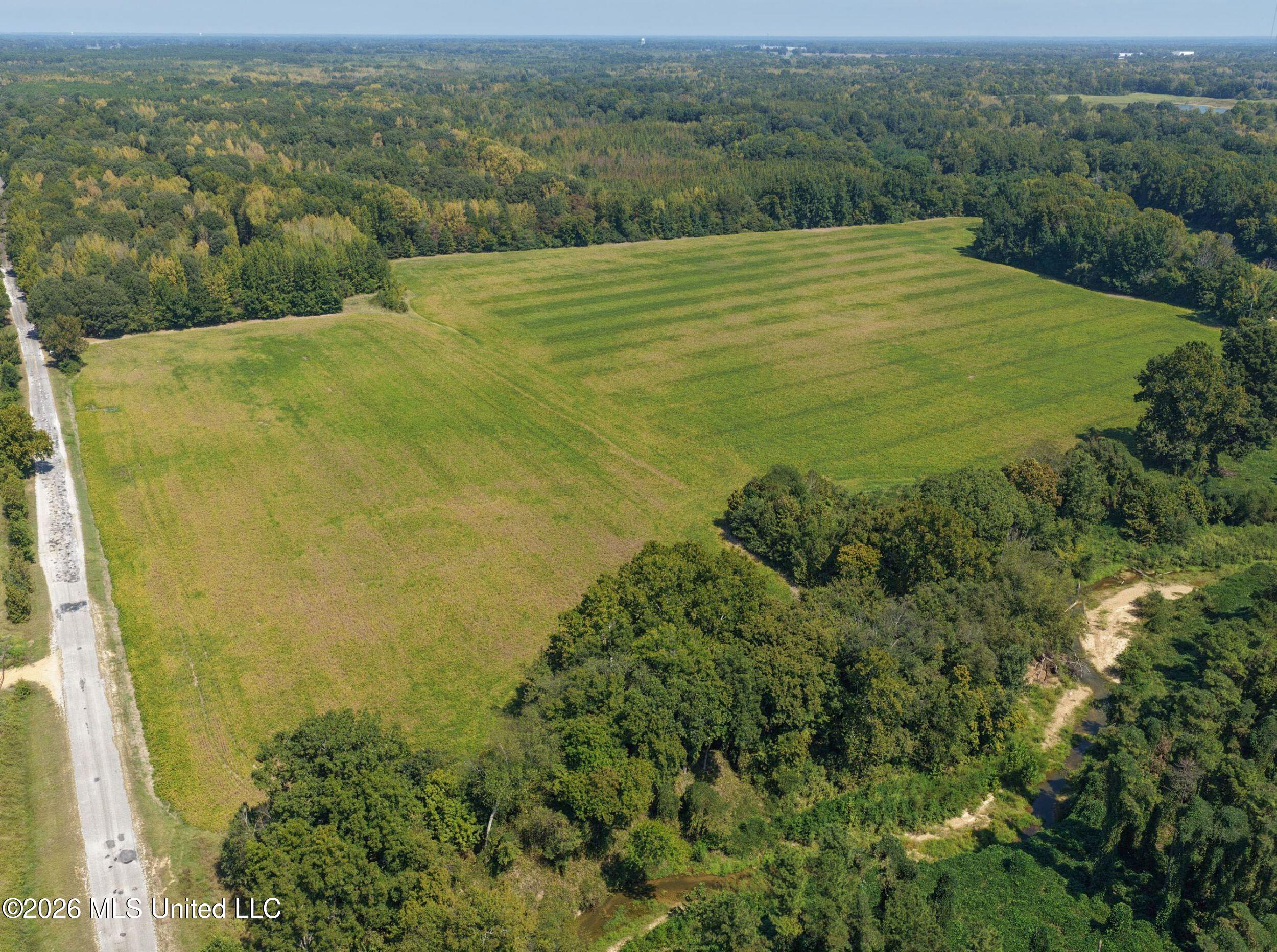 50 Ac Old Panola Road Property Photo 21
