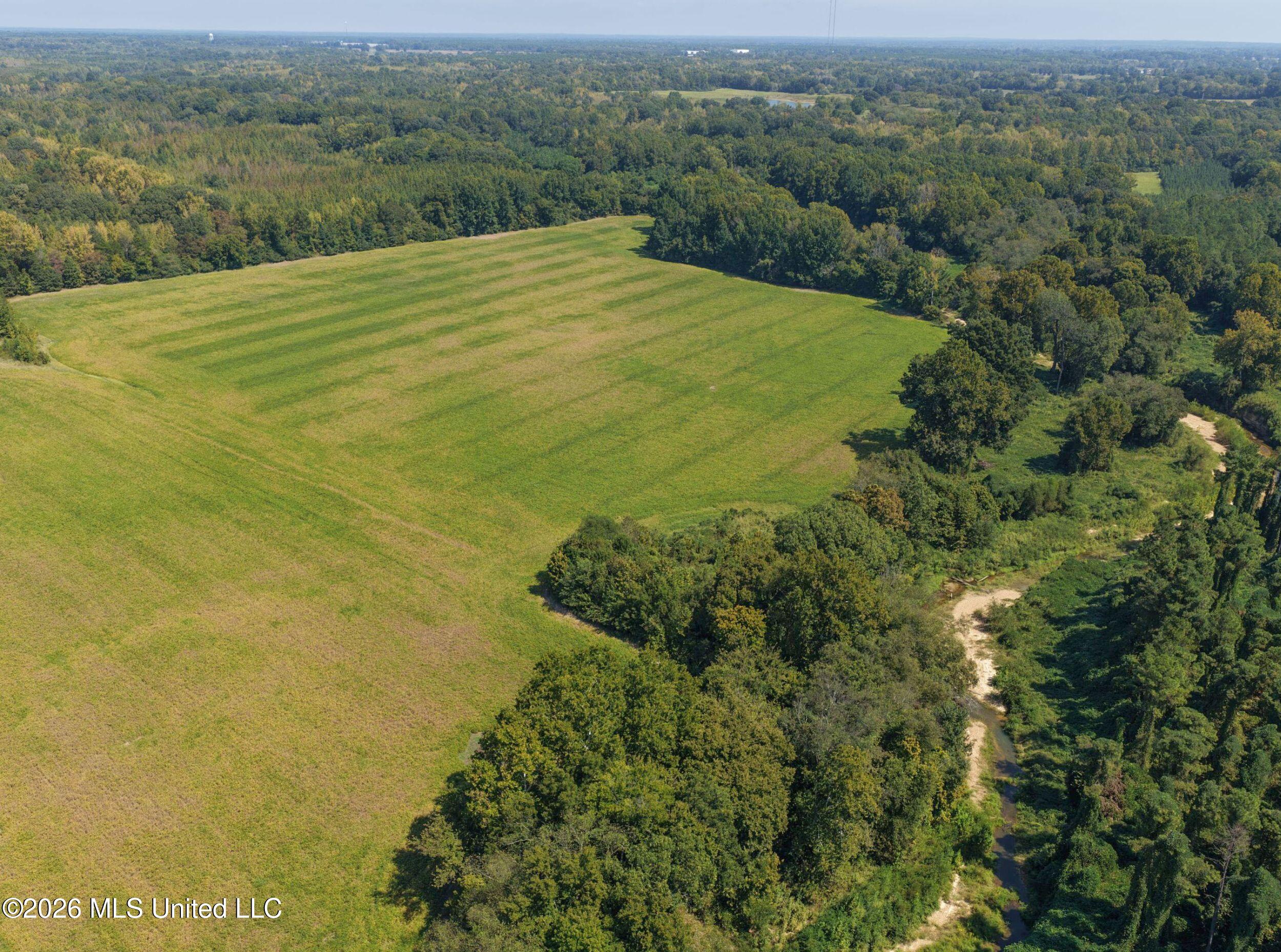 50 Ac Old Panola Road Property Photo 22
