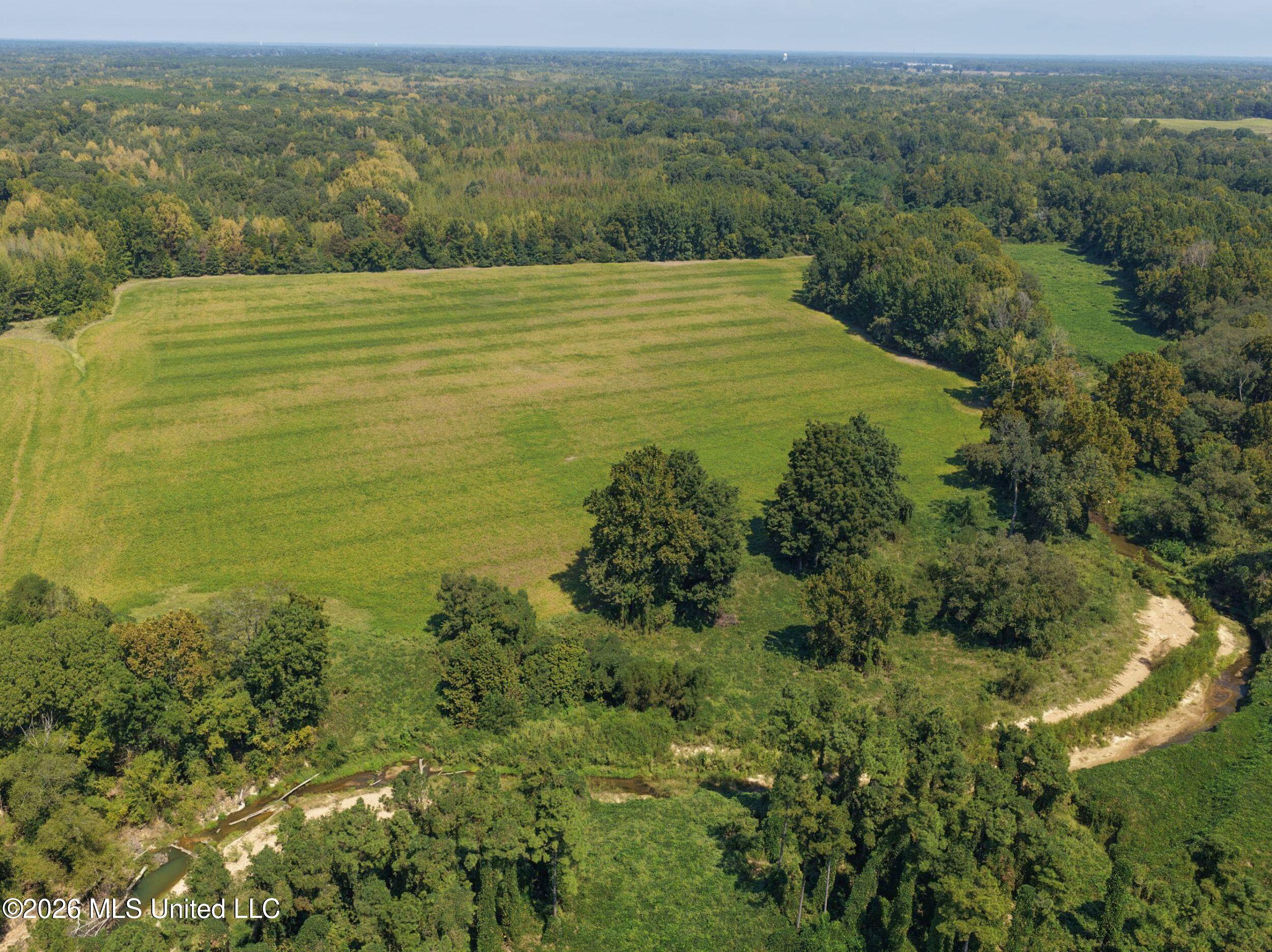 50 Ac Old Panola Road Property Photo 23
