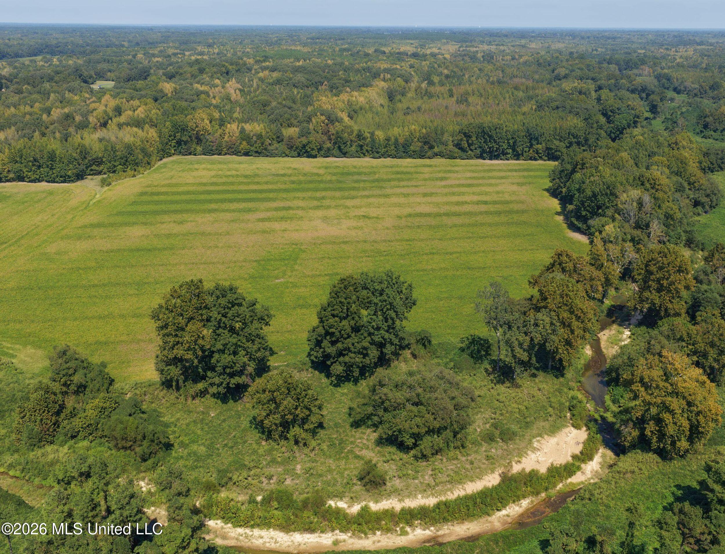 50 Ac Old Panola Road Property Photo 24
