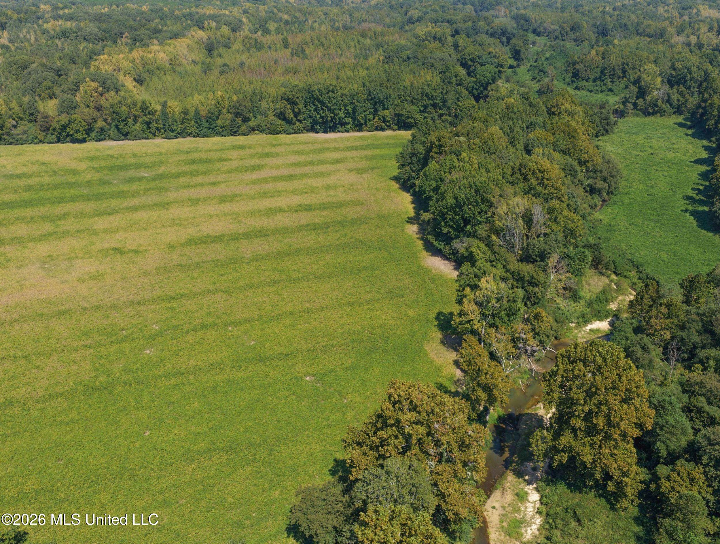50 Ac Old Panola Road Property Photo 25