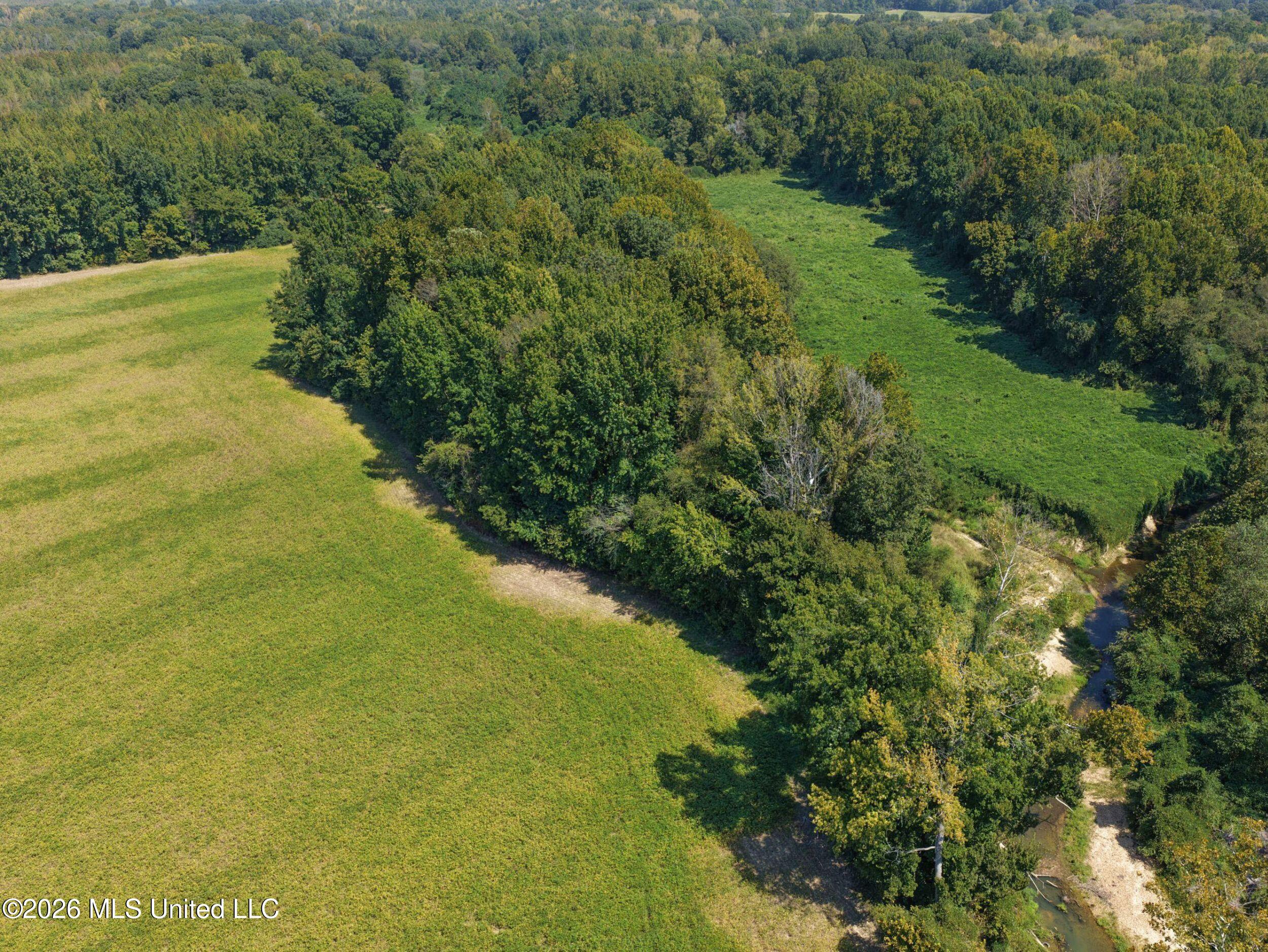 50 Ac Old Panola Road Property Photo 26