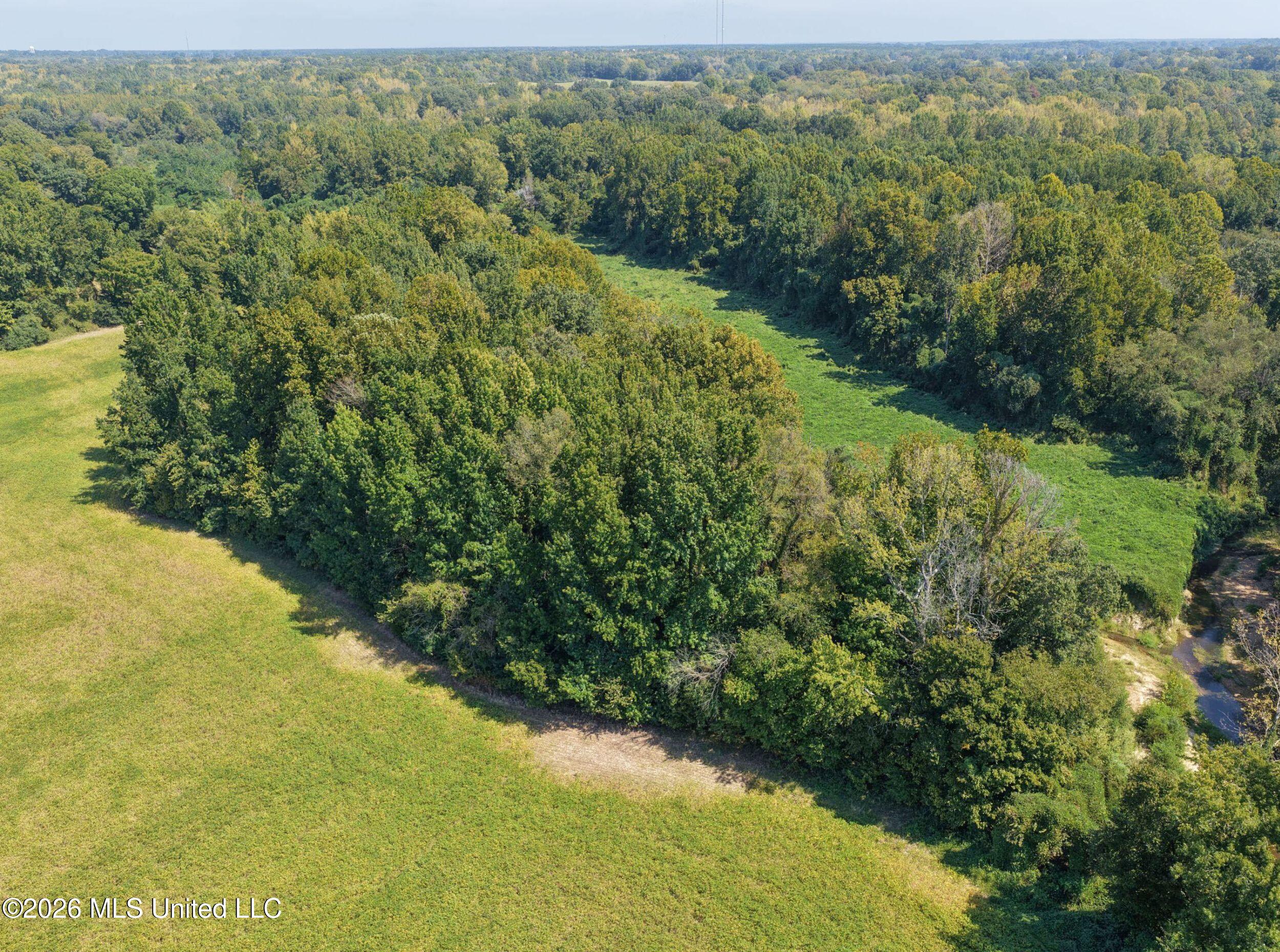 50 Ac Old Panola Road Property Photo 27