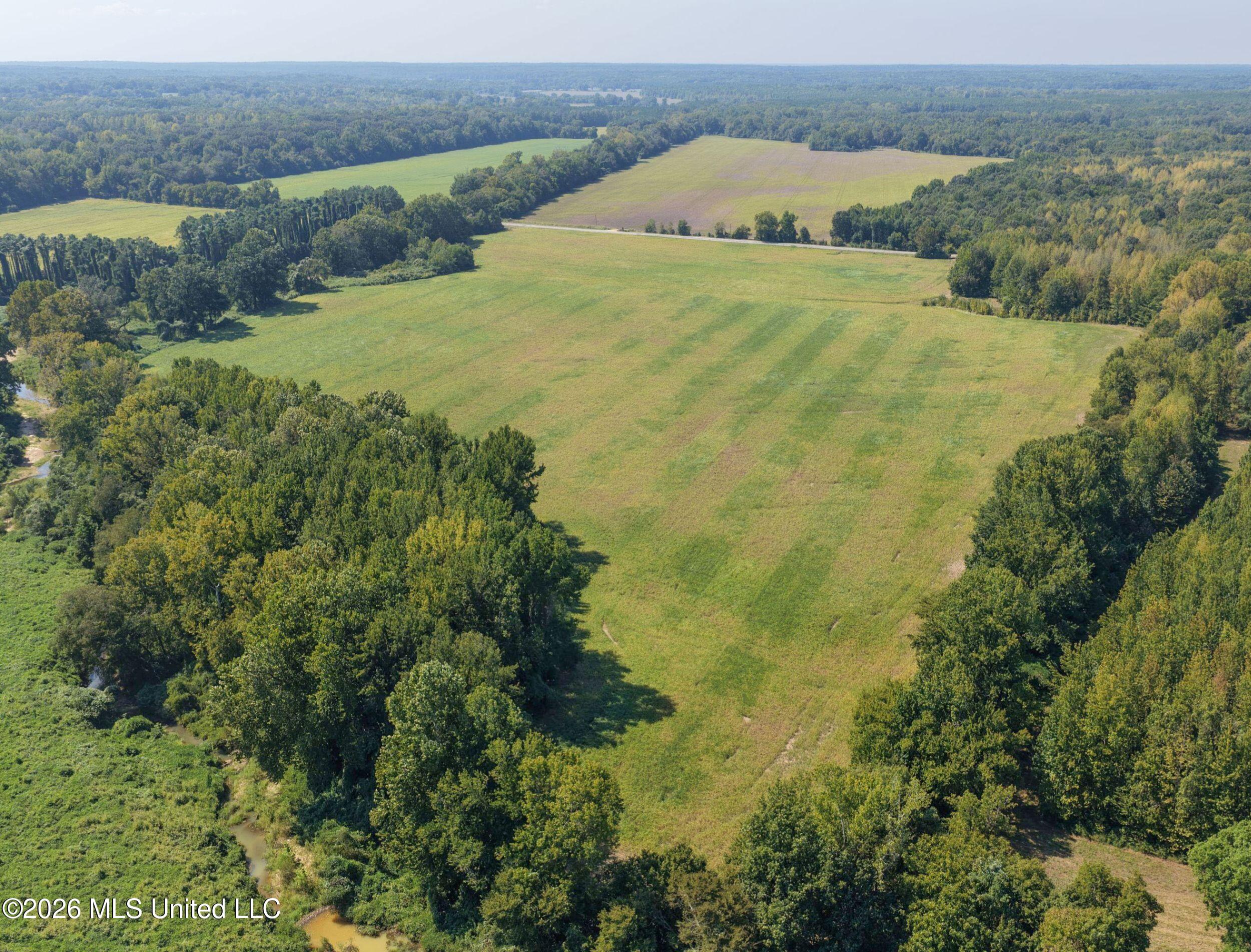 50 Ac Old Panola Road Property Photo 28