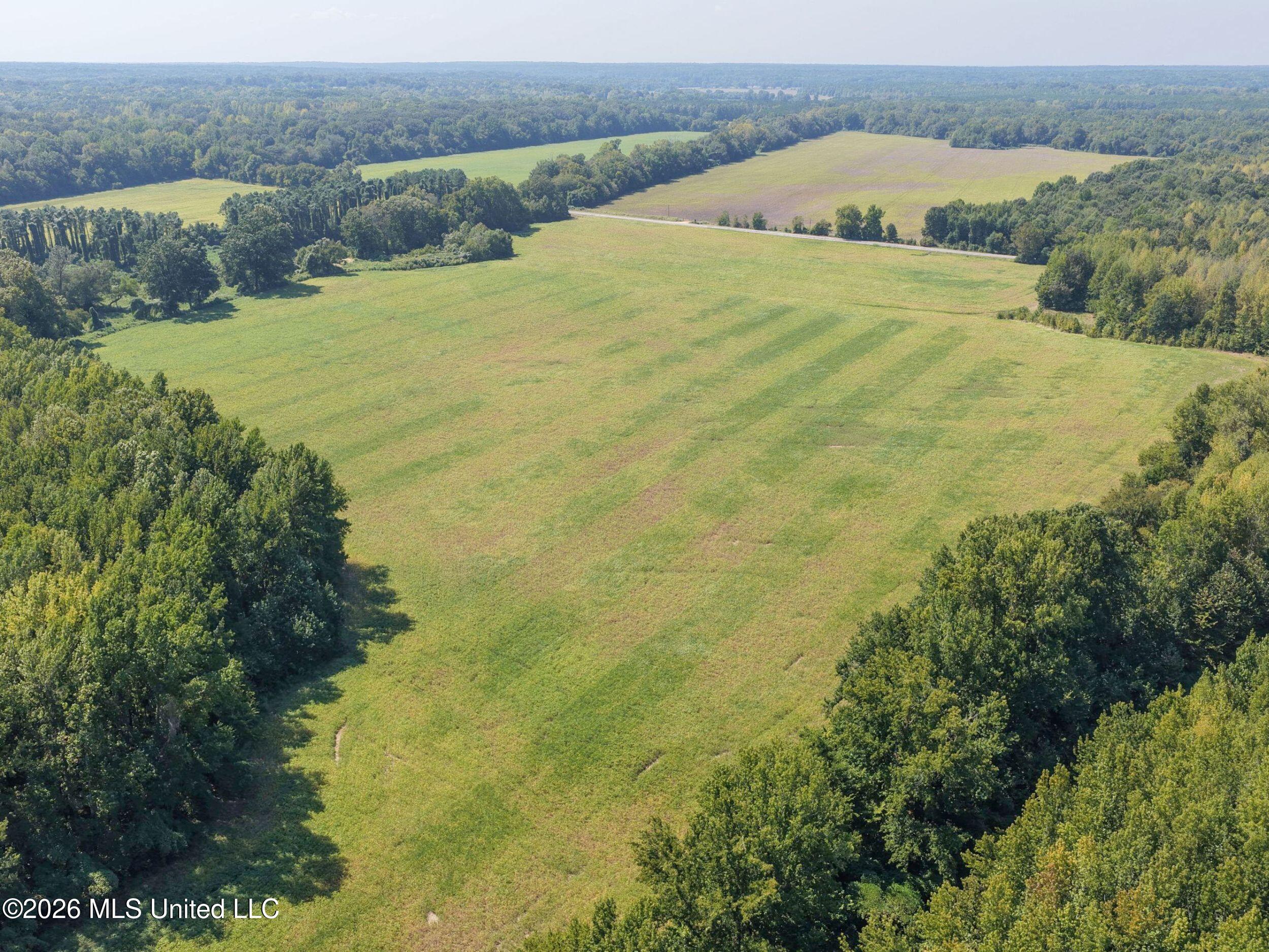50 Ac Old Panola Road Property Photo 29