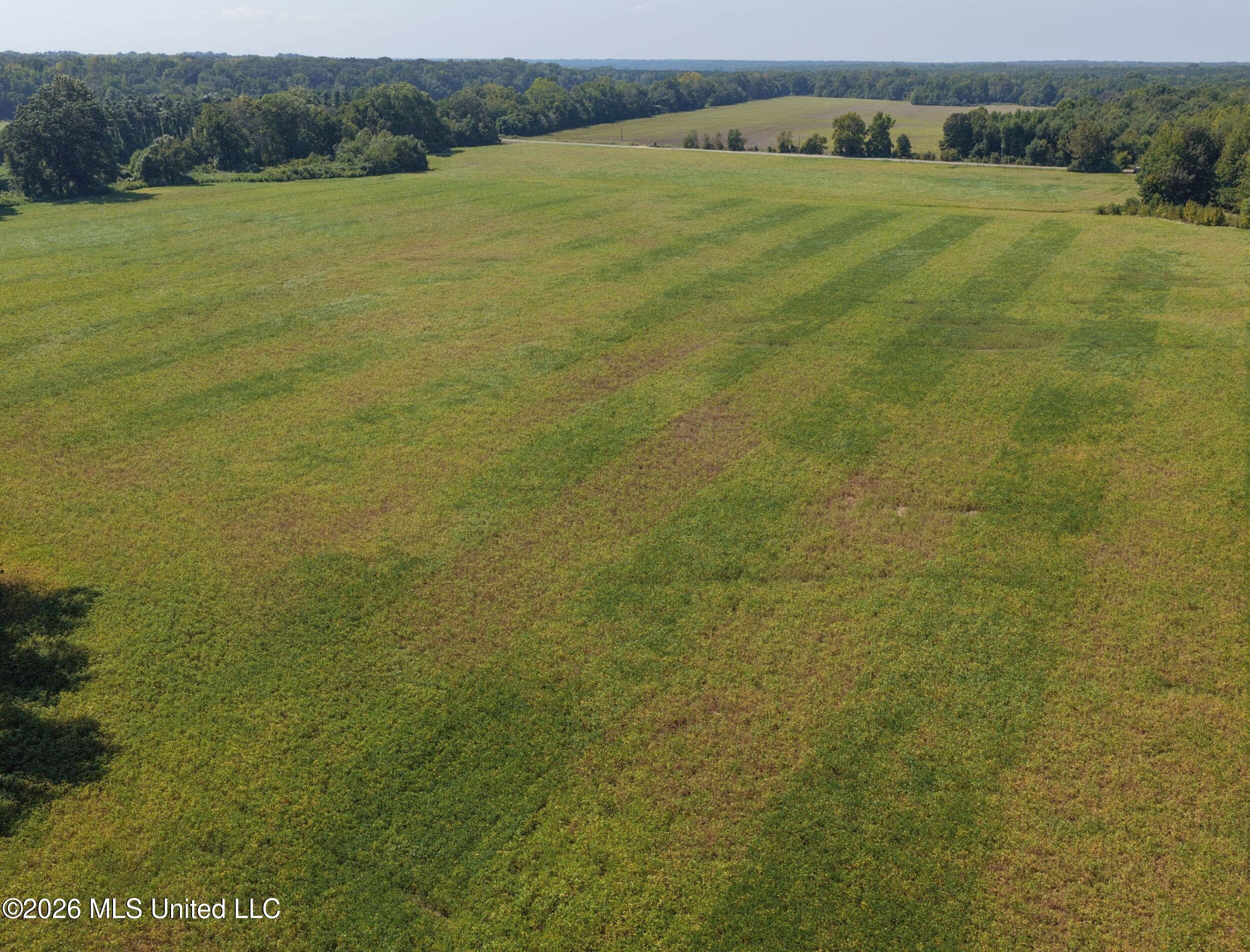 50 Ac Old Panola Road Property Photo 30