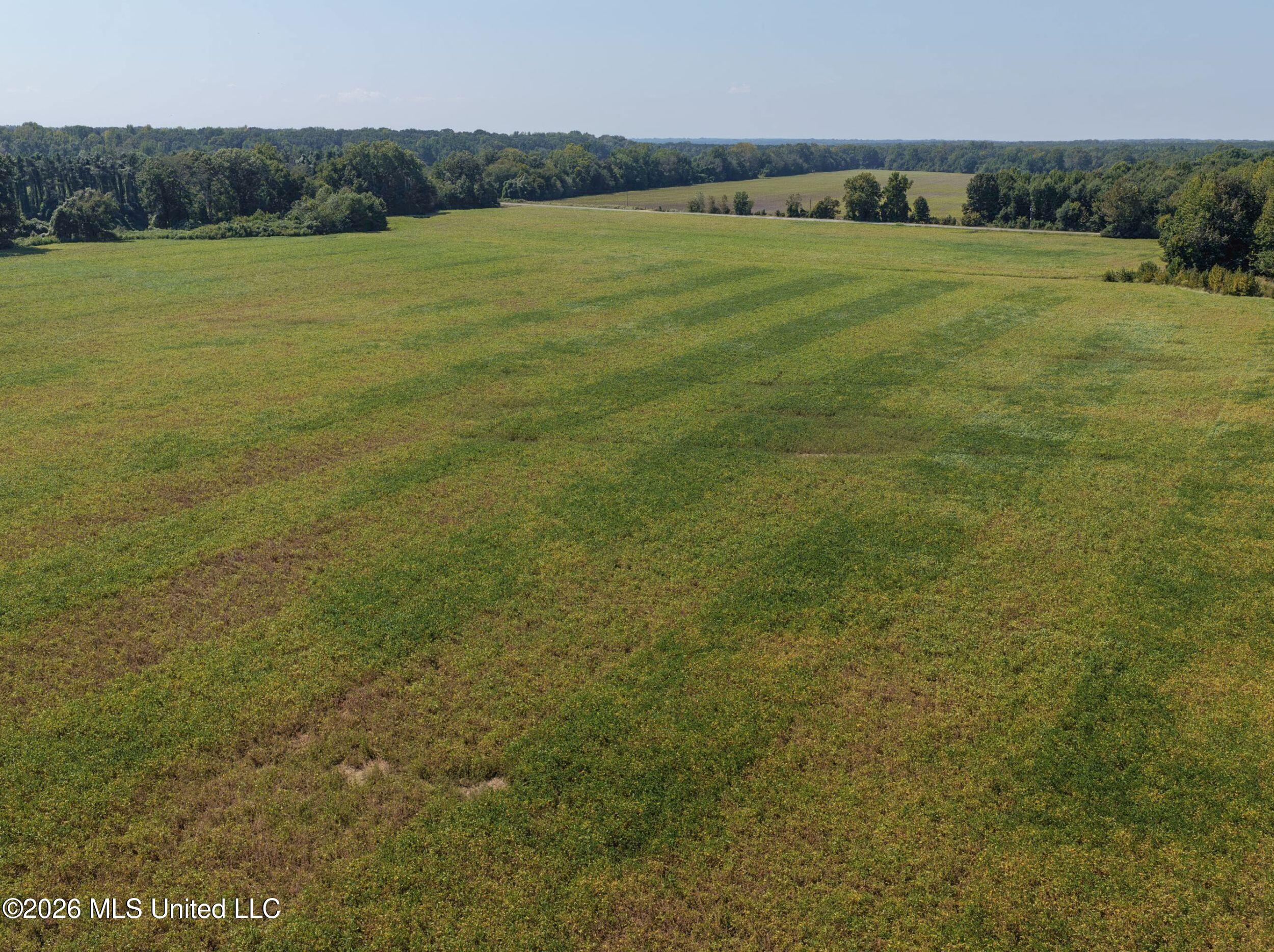 50 Ac Old Panola Road Property Photo 31