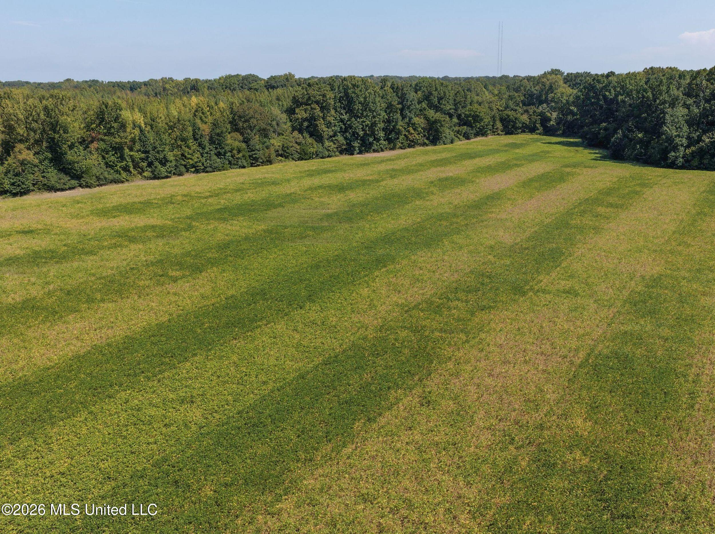 50 Ac Old Panola Road Property Photo 32