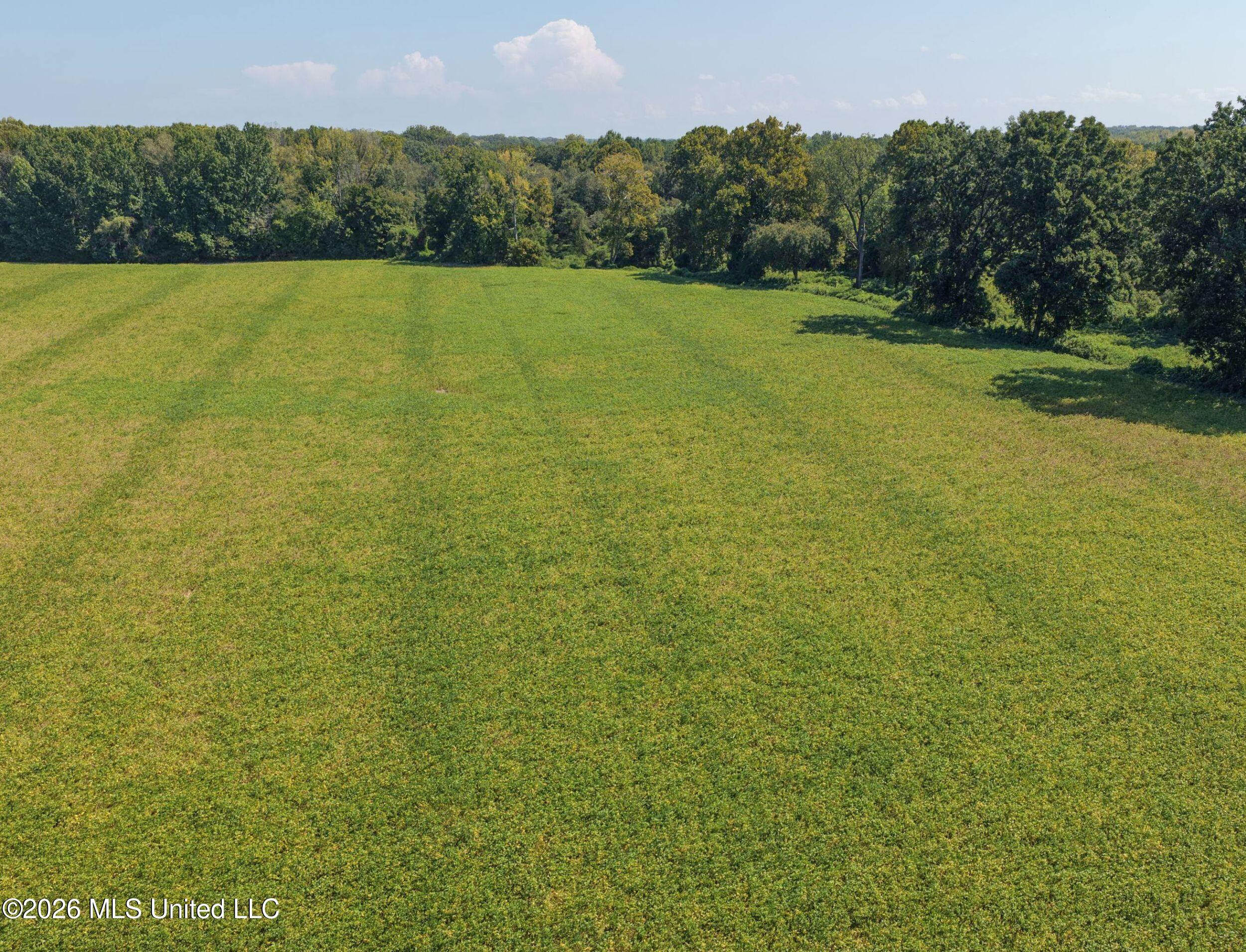 50 Ac Old Panola Road Property Photo 35
