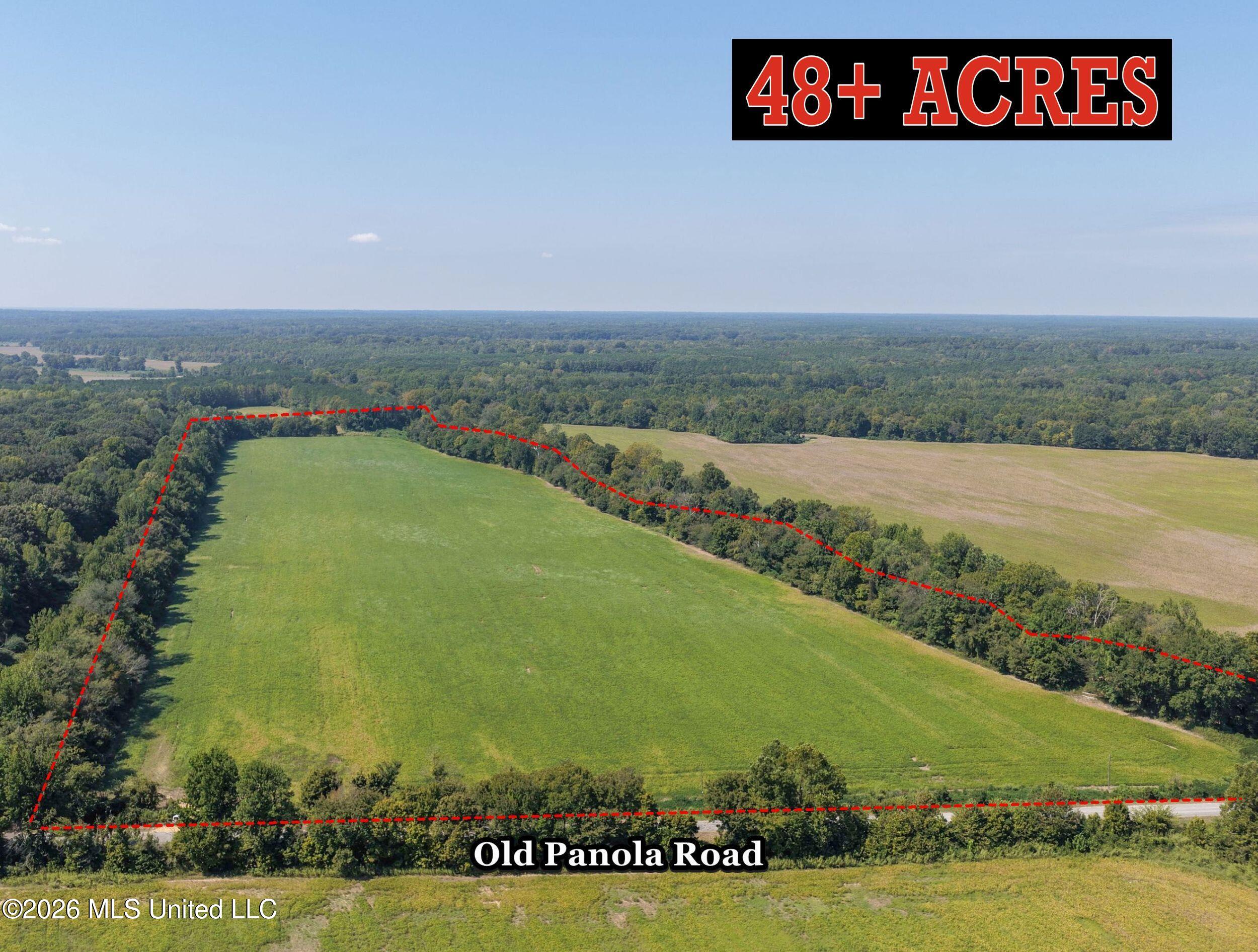 48 Ac Old Panola Property Photo 1