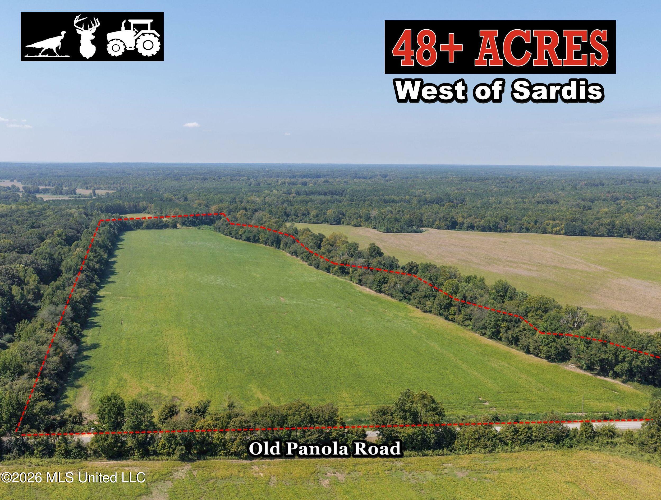 48 Ac Old Panola Property Photo 2