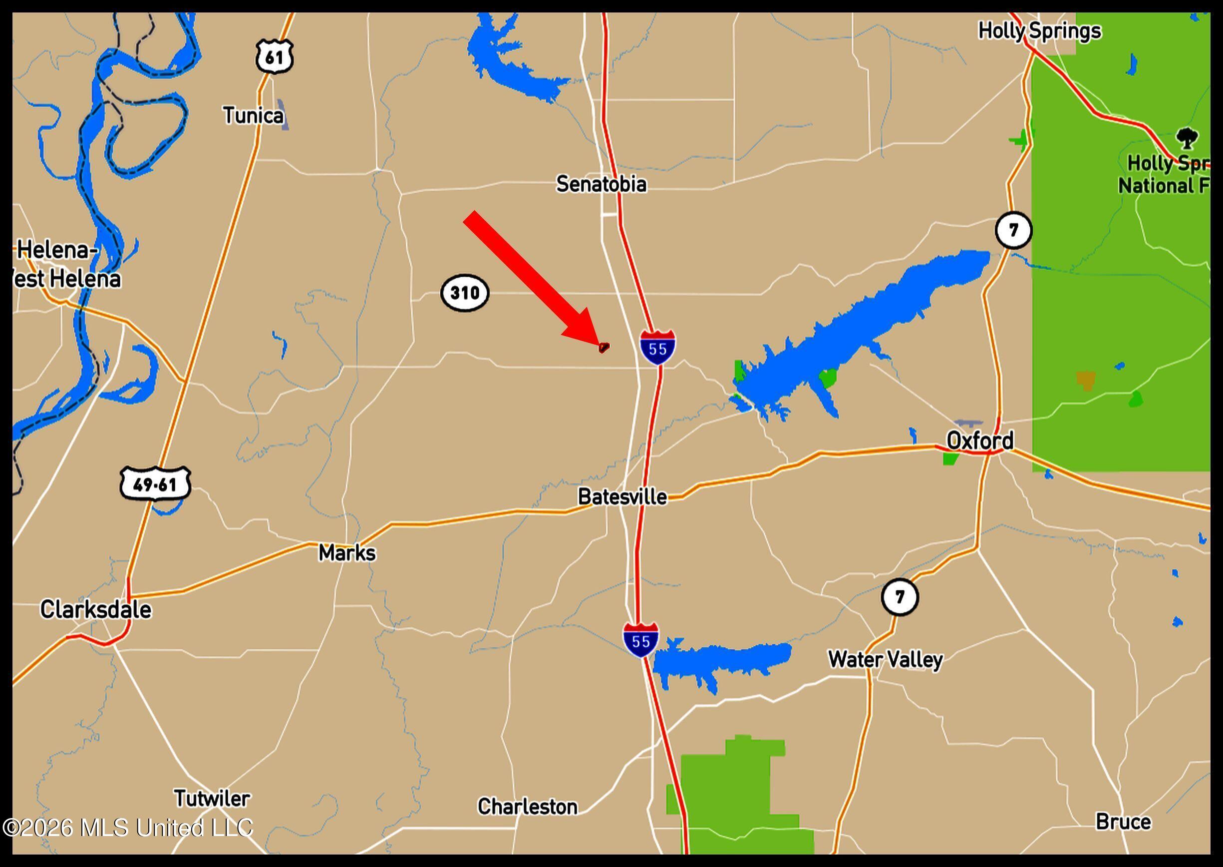 48 Ac Old Panola Property Photo 3