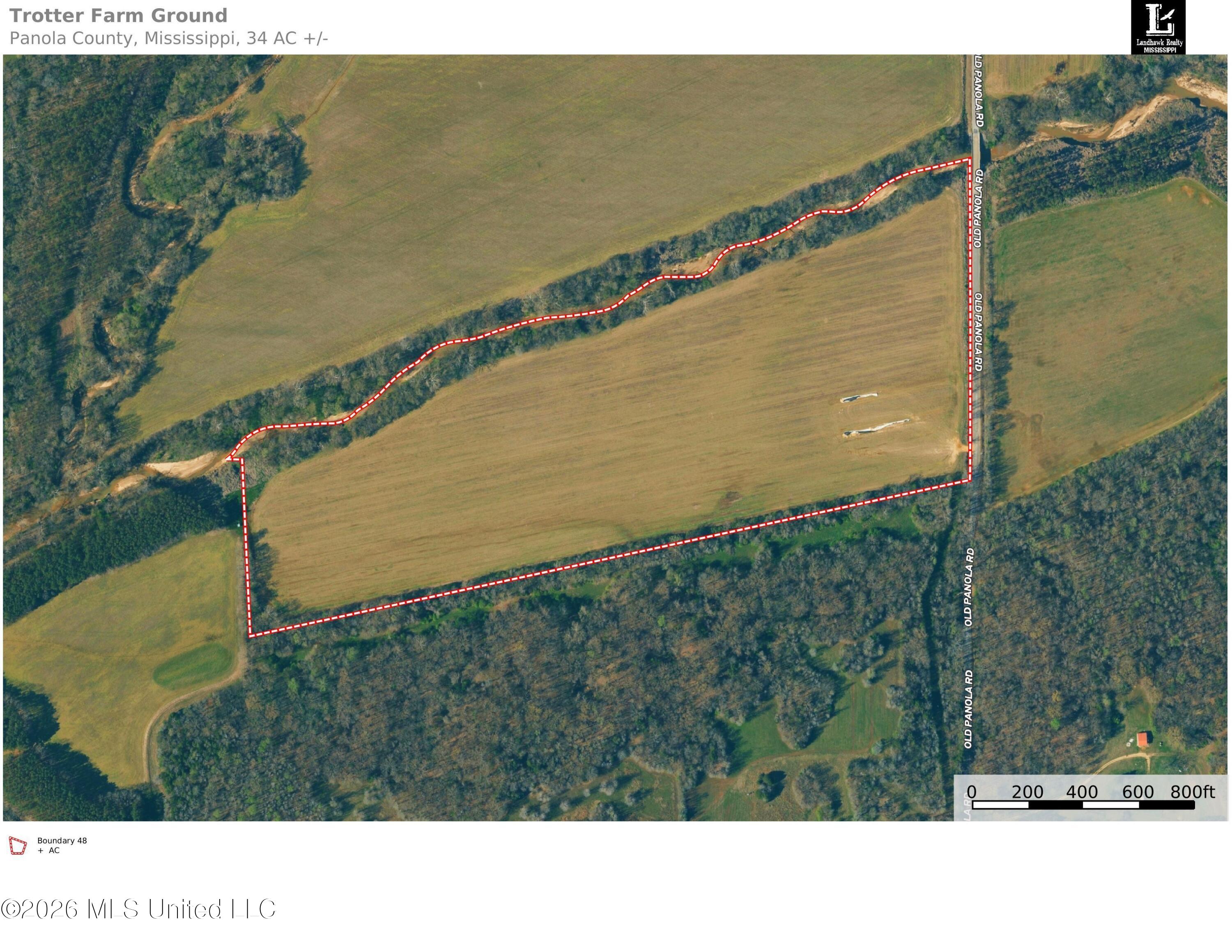48 Ac Old Panola Property Photo 5