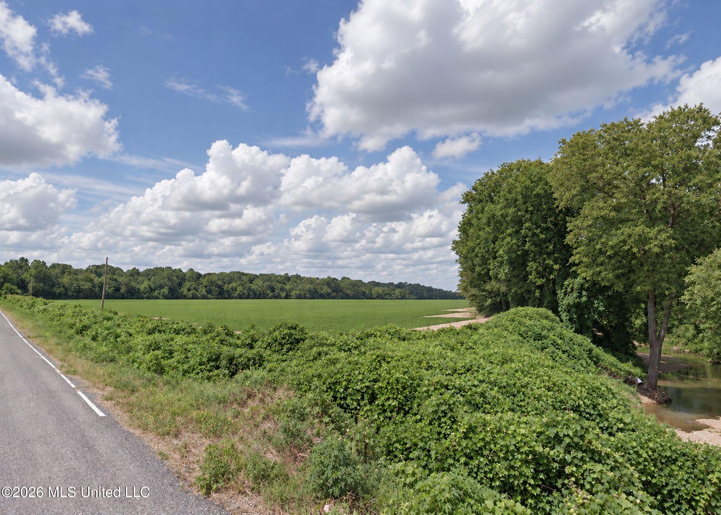 48 Ac Old Panola Property Photo 6