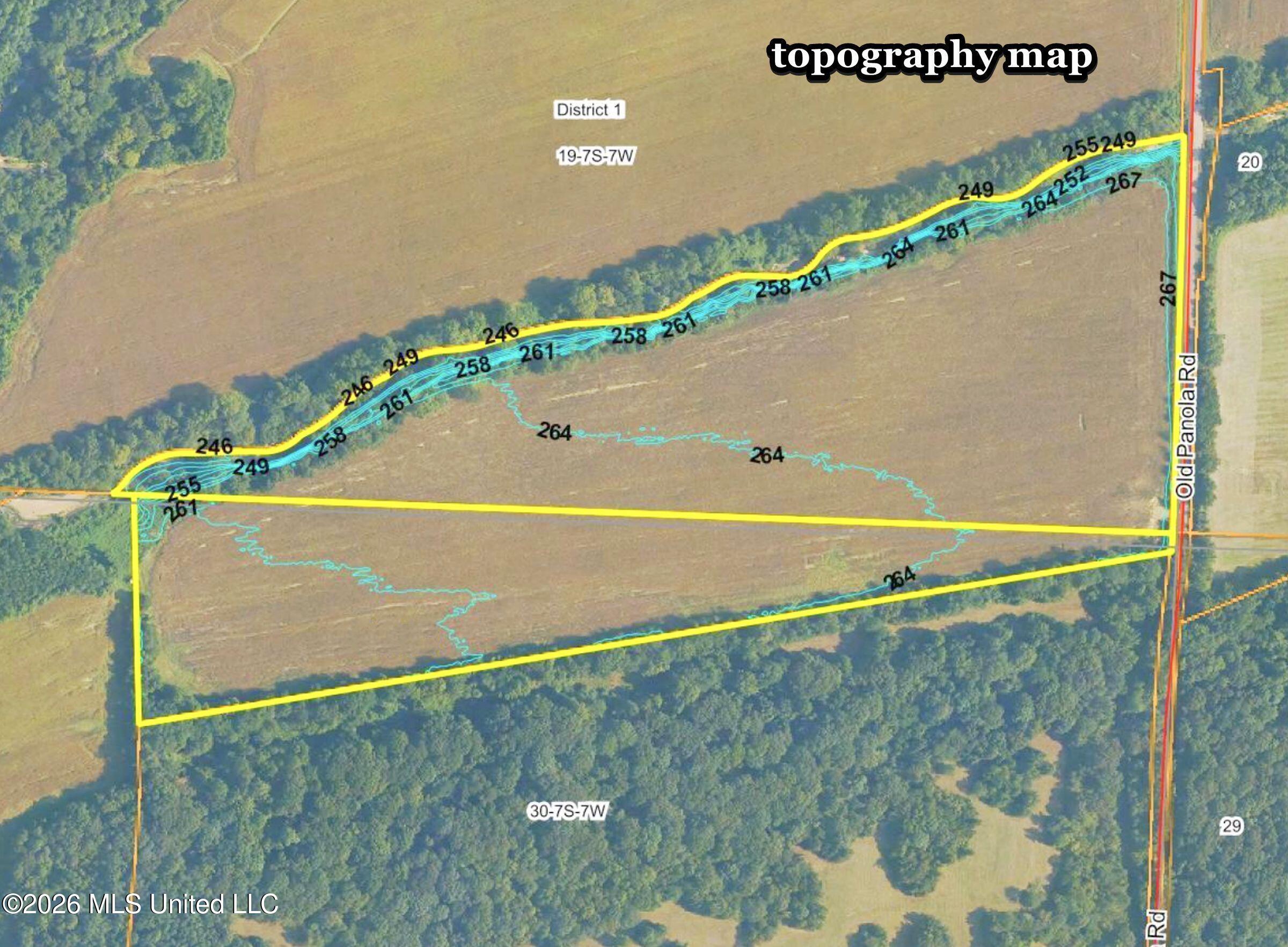 48 Ac Old Panola Property Photo 9