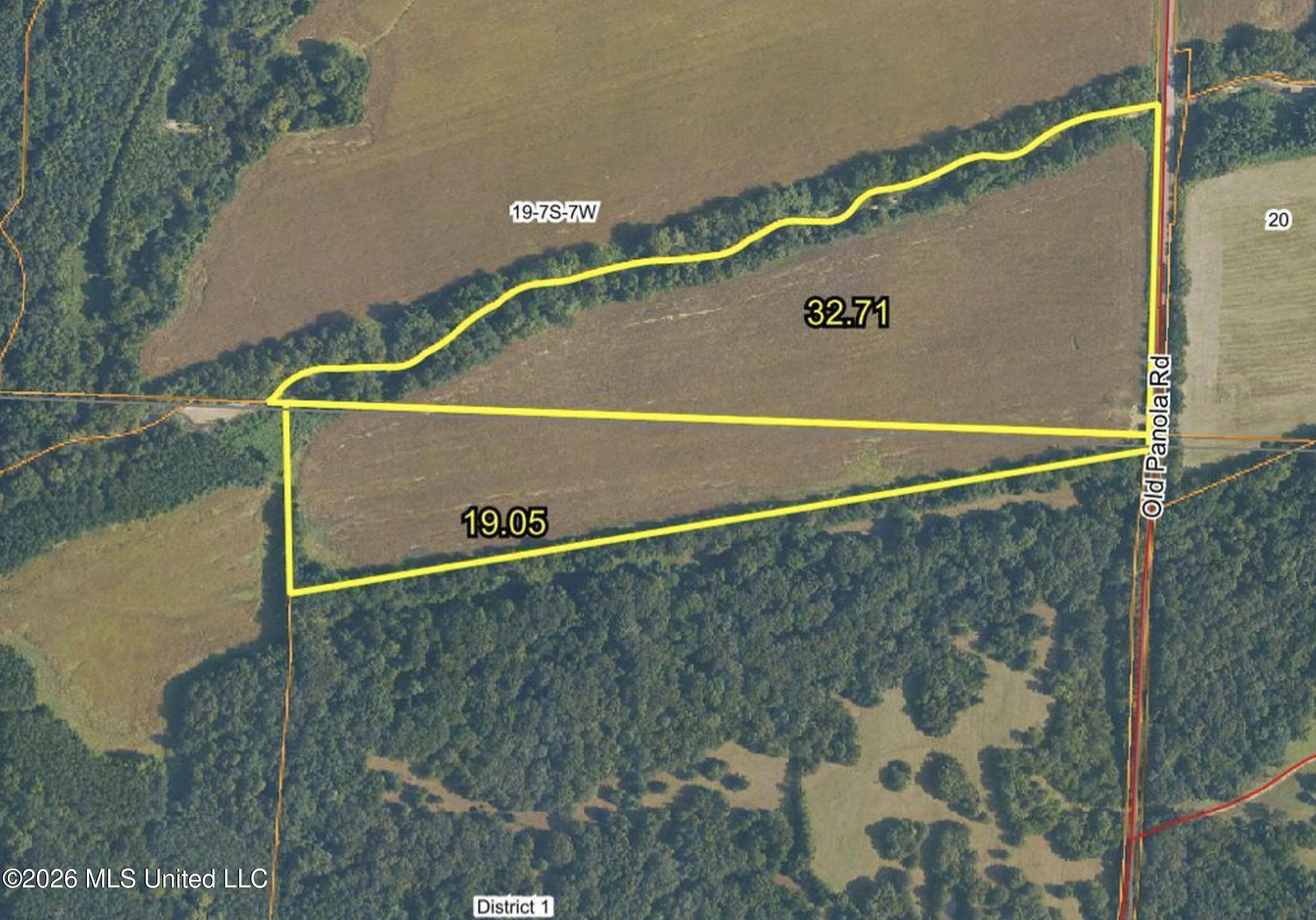 48 Ac Old Panola Property Photo 14