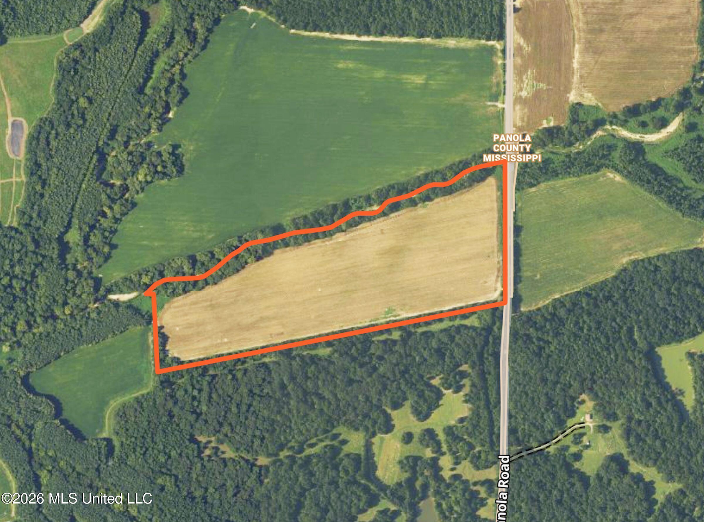 48 Ac Old Panola Property Photo 15