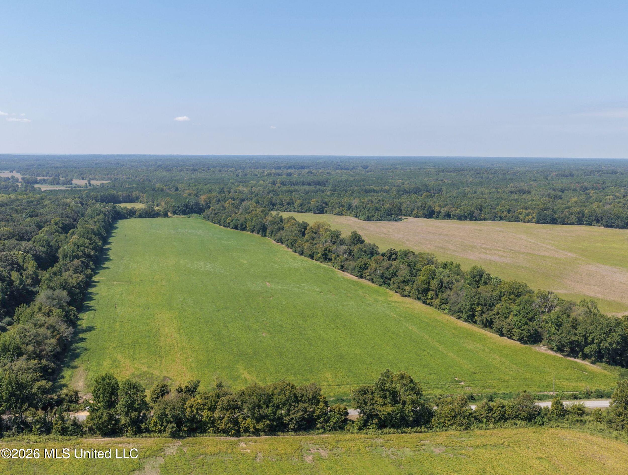 48 Ac Old Panola Property Photo 16