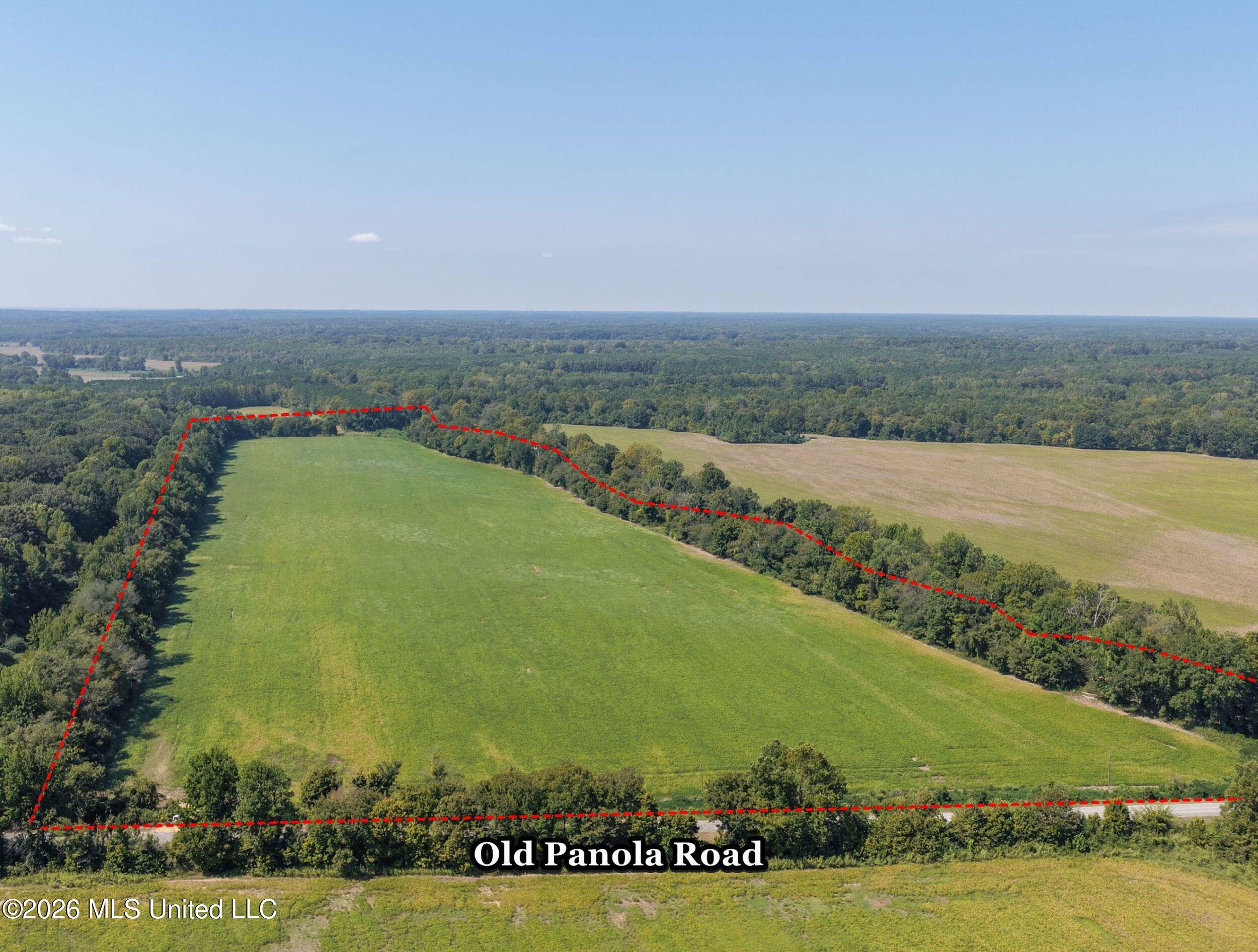 48 Ac Old Panola Property Photo 17