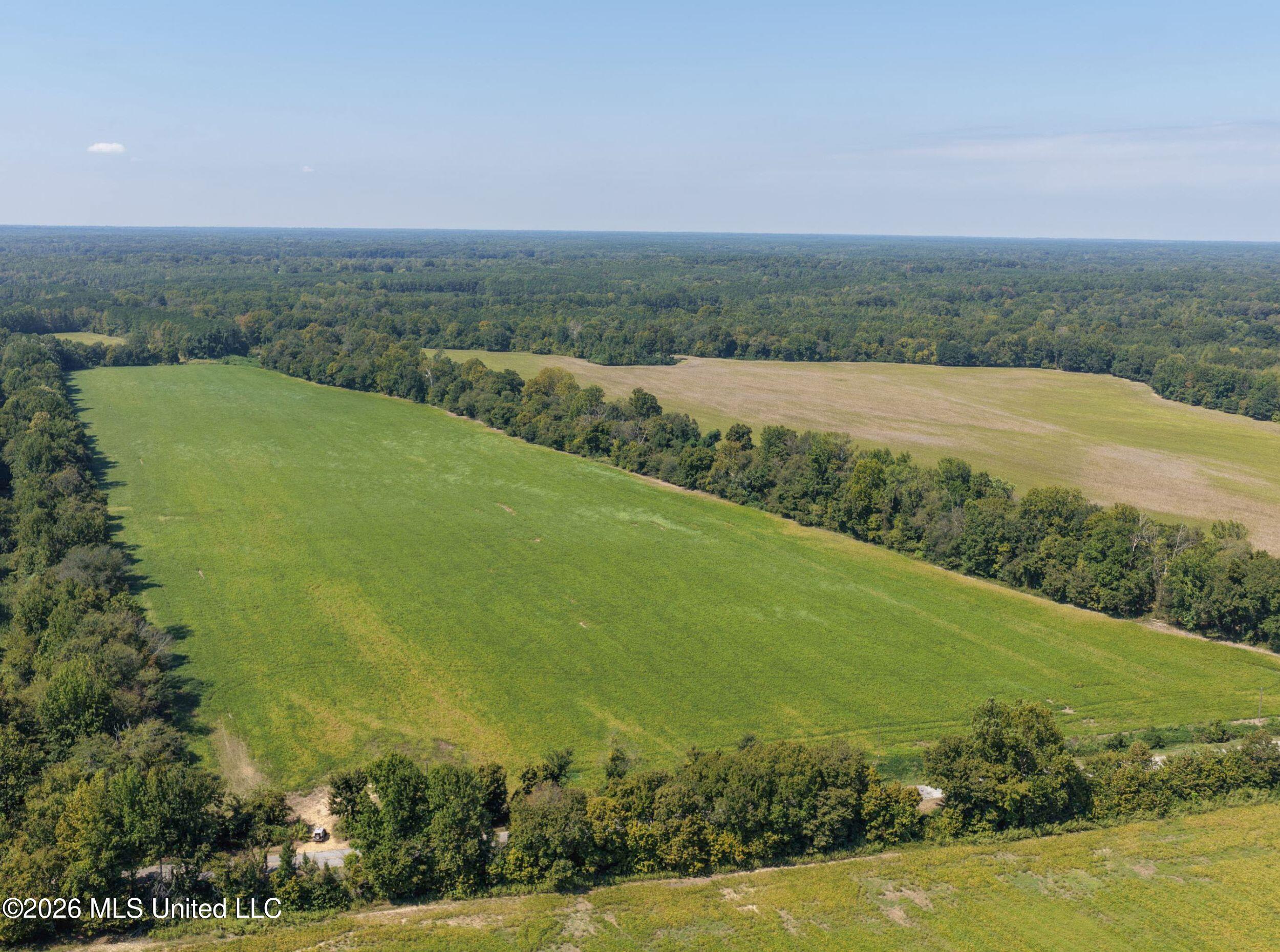48 Ac Old Panola Property Photo 18