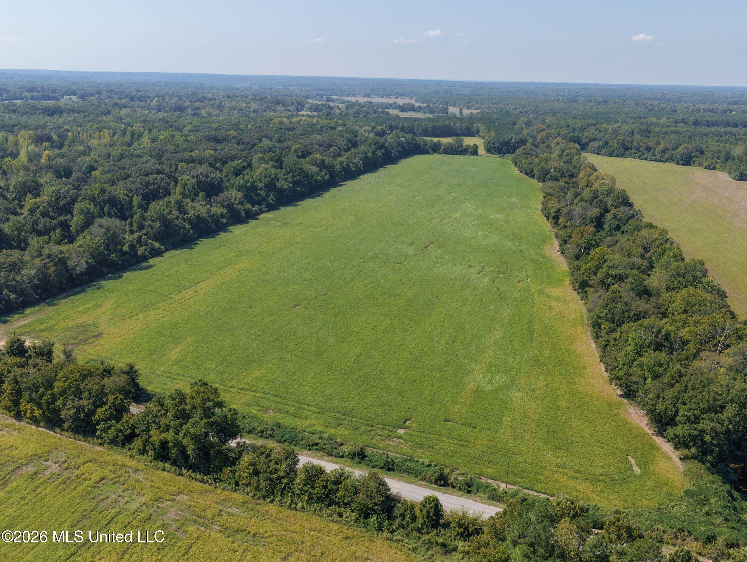 48 Ac Old Panola Property Photo 19