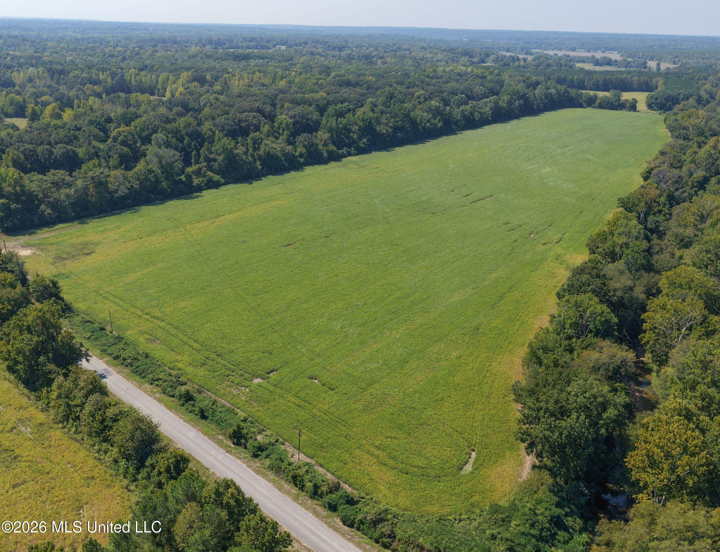 48 Ac Old Panola Property Photo 20