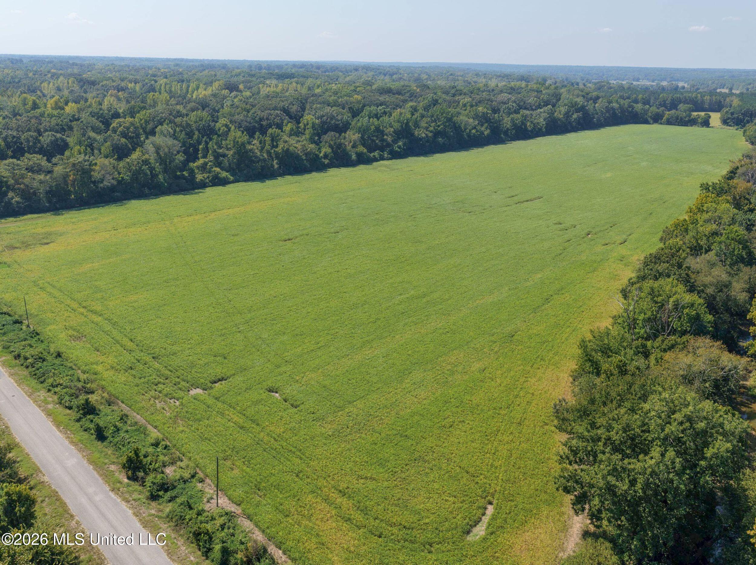 48 Ac Old Panola Property Photo 21