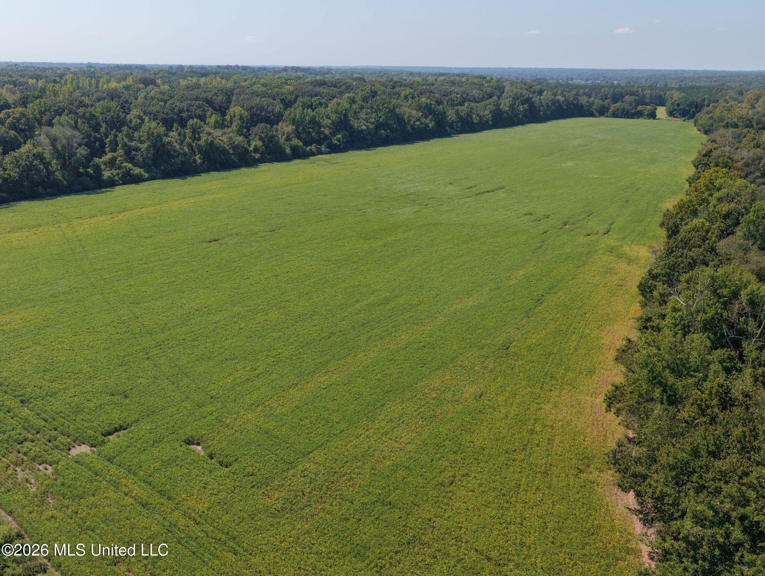 48 Ac Old Panola Property Photo 22