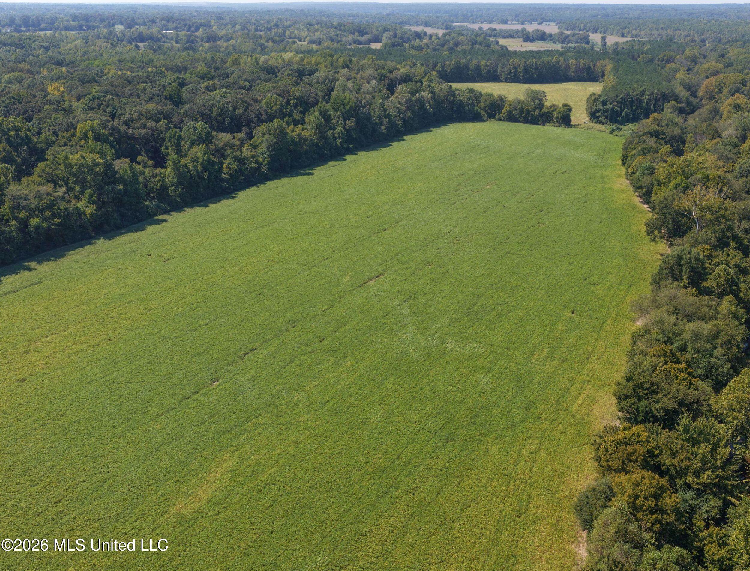 48 Ac Old Panola Property Photo 26